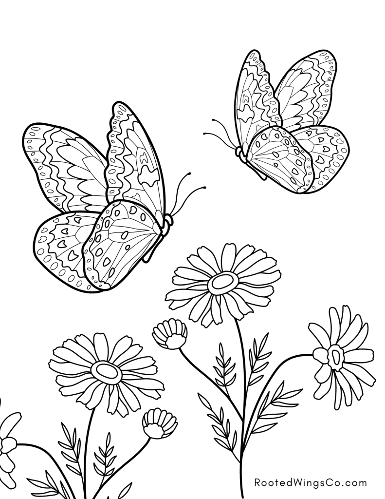 free coloring pages butterflies free coloring pages butterflies