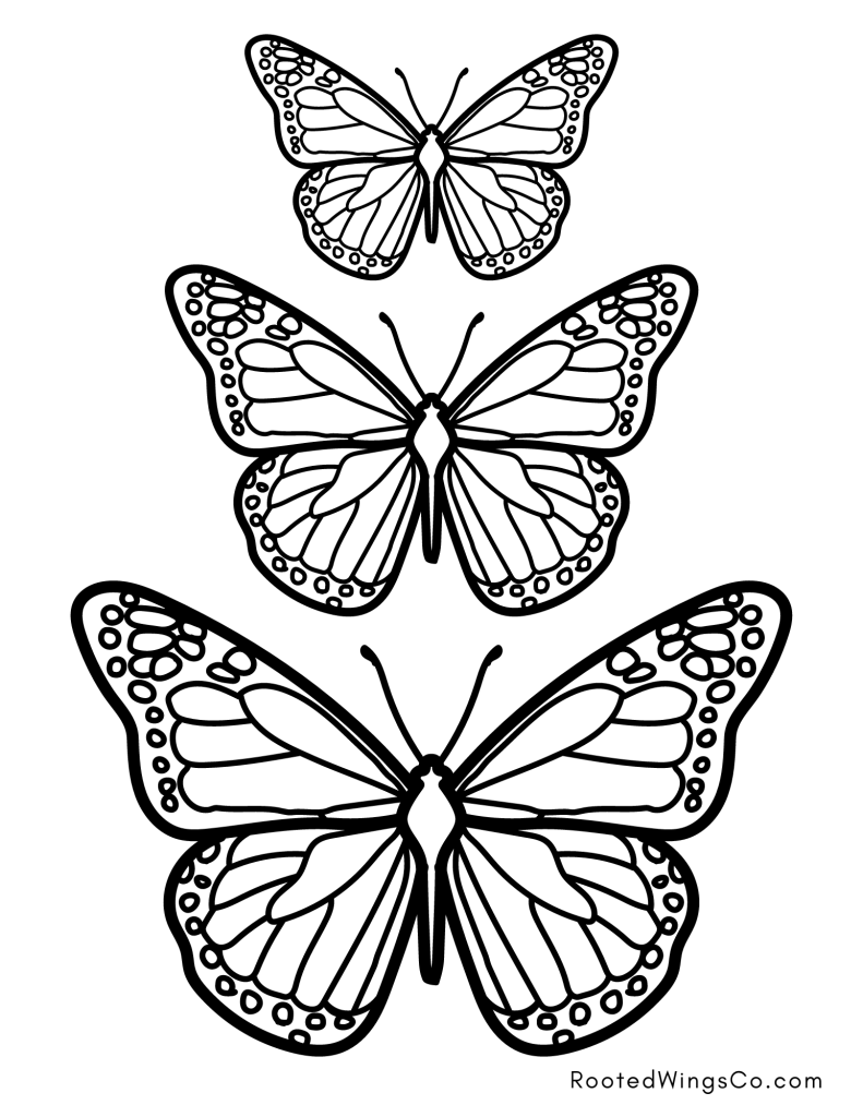 Free Butterfly Coloring Pages For Kids Or Adults