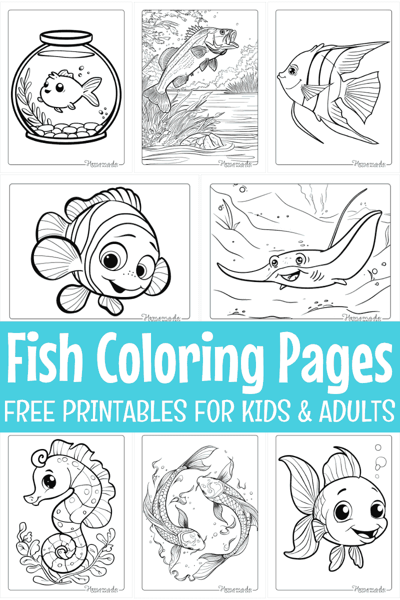Free Fish Coloring Pages For Kids Adults PDF Printables  Free Fish Coloring Pages For Kids Adults PDF Printables