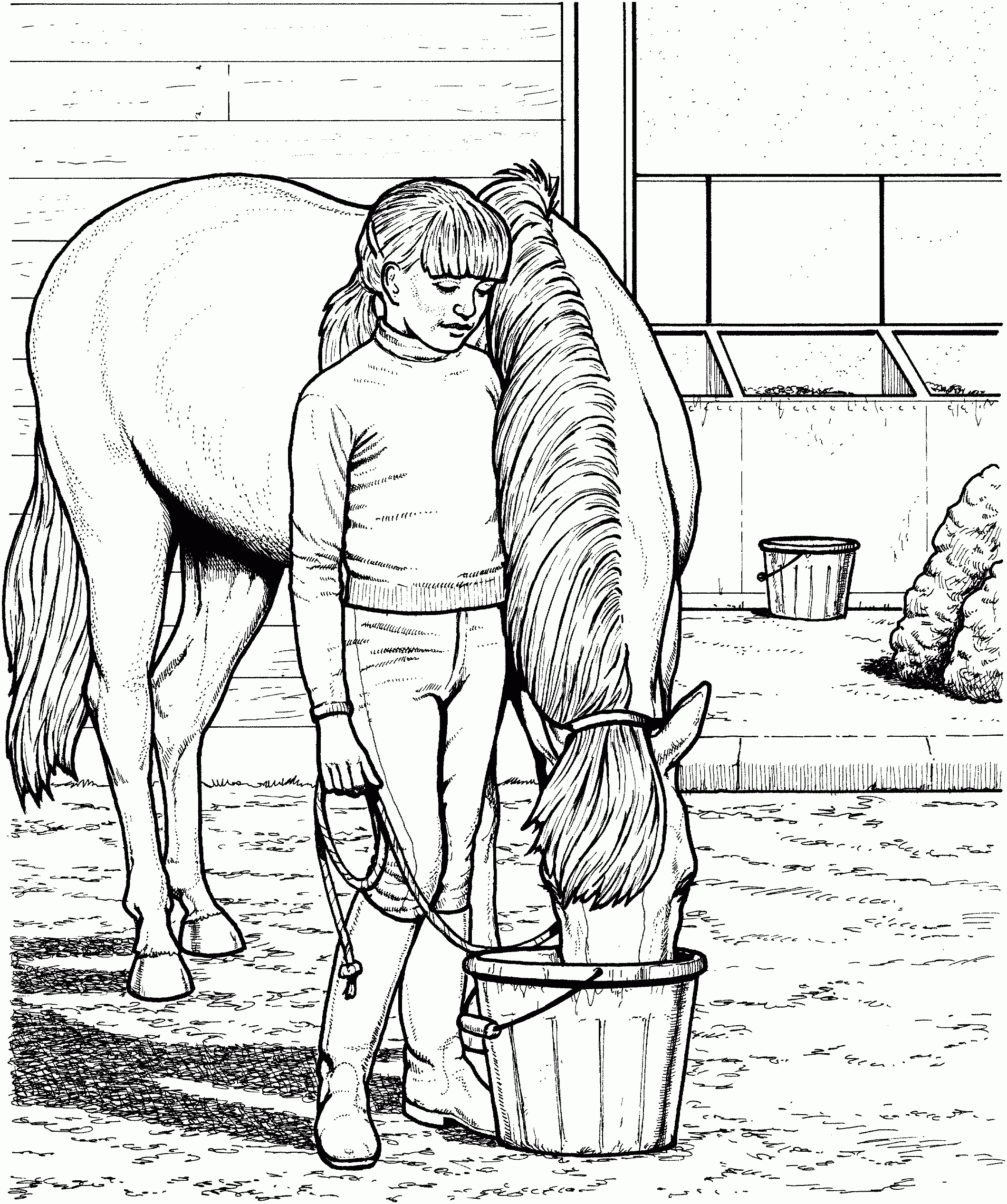 Free Horse Coloring Pages Free Horse Coloring Pages