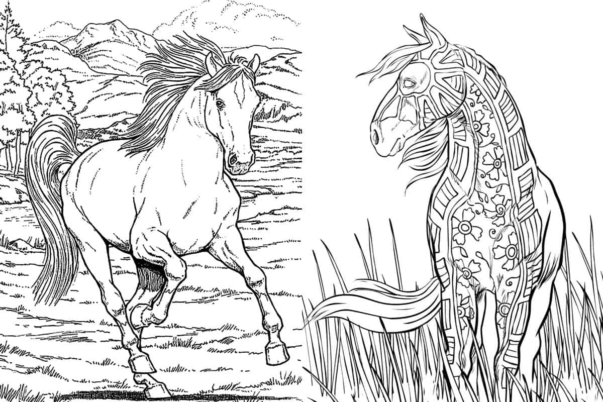 pictures to color of horses pictures to color of horses