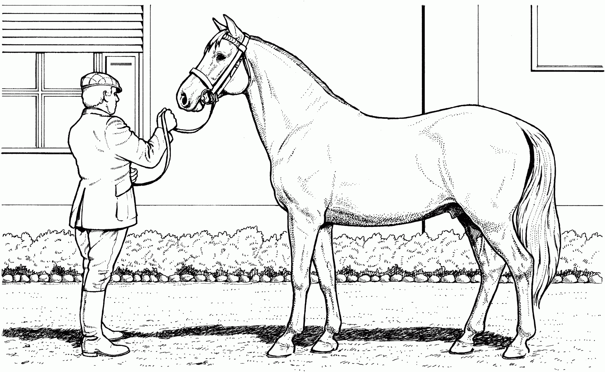 Free Horse Coloring Pages Free Horse Coloring Pages