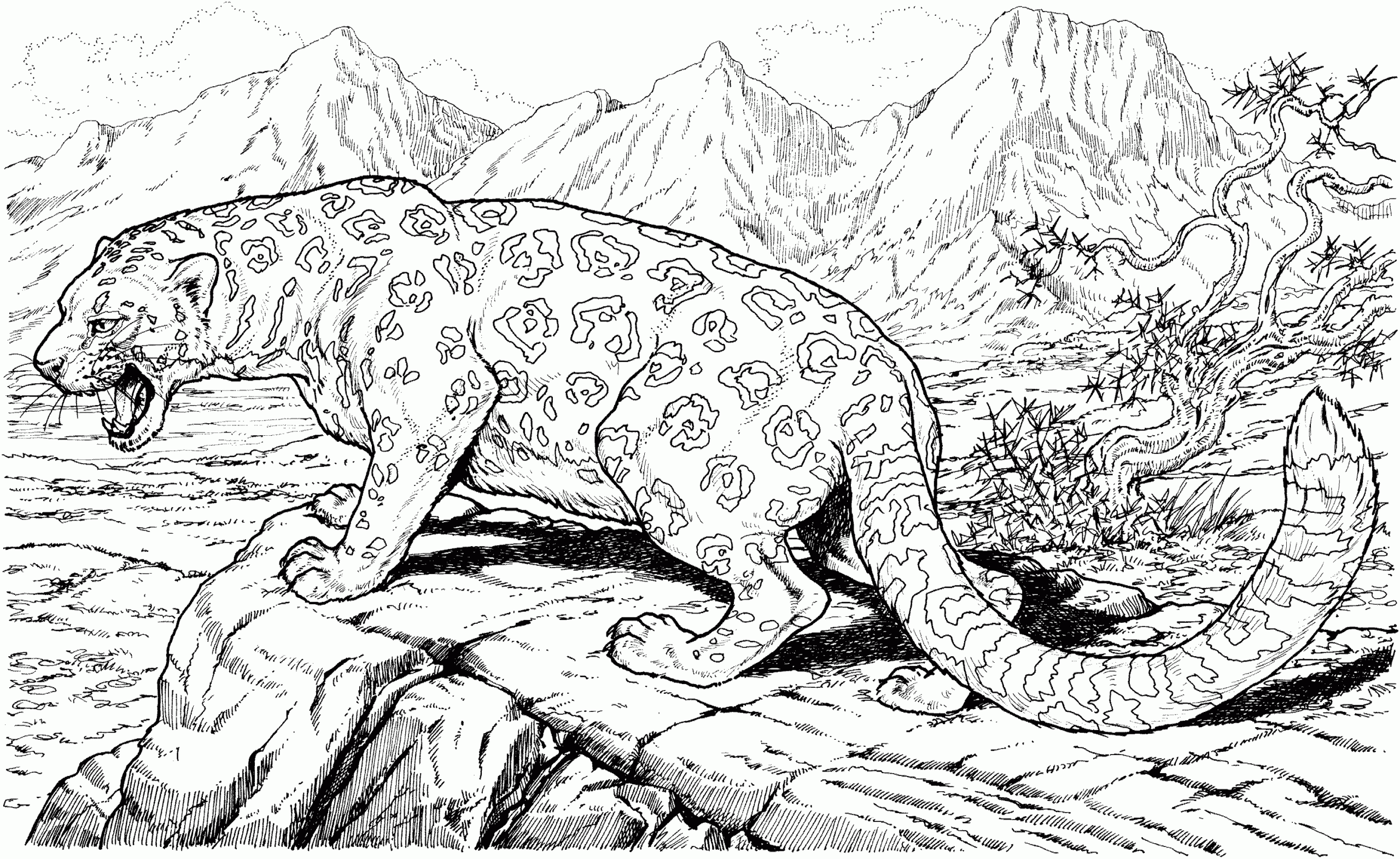 Free Jaguar Coloring Pages Free Jaguar Coloring Pages