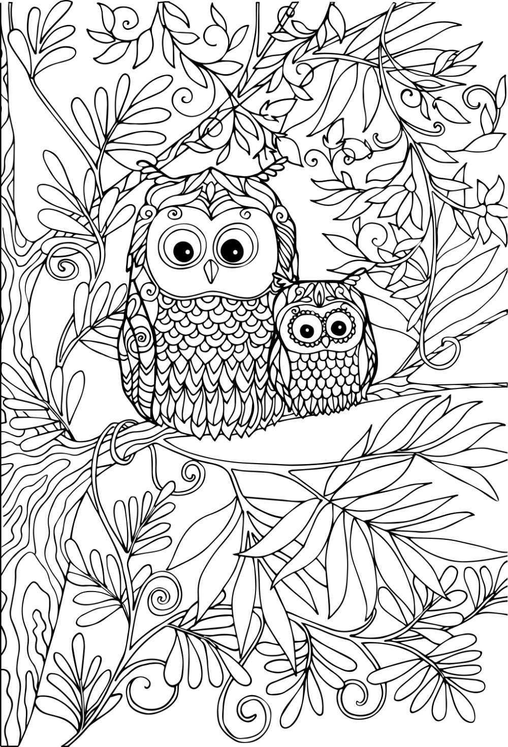 Free OWL Coloring Pages For Download Printable PDF  Free OWL Coloring Pages For Download Printable PDF