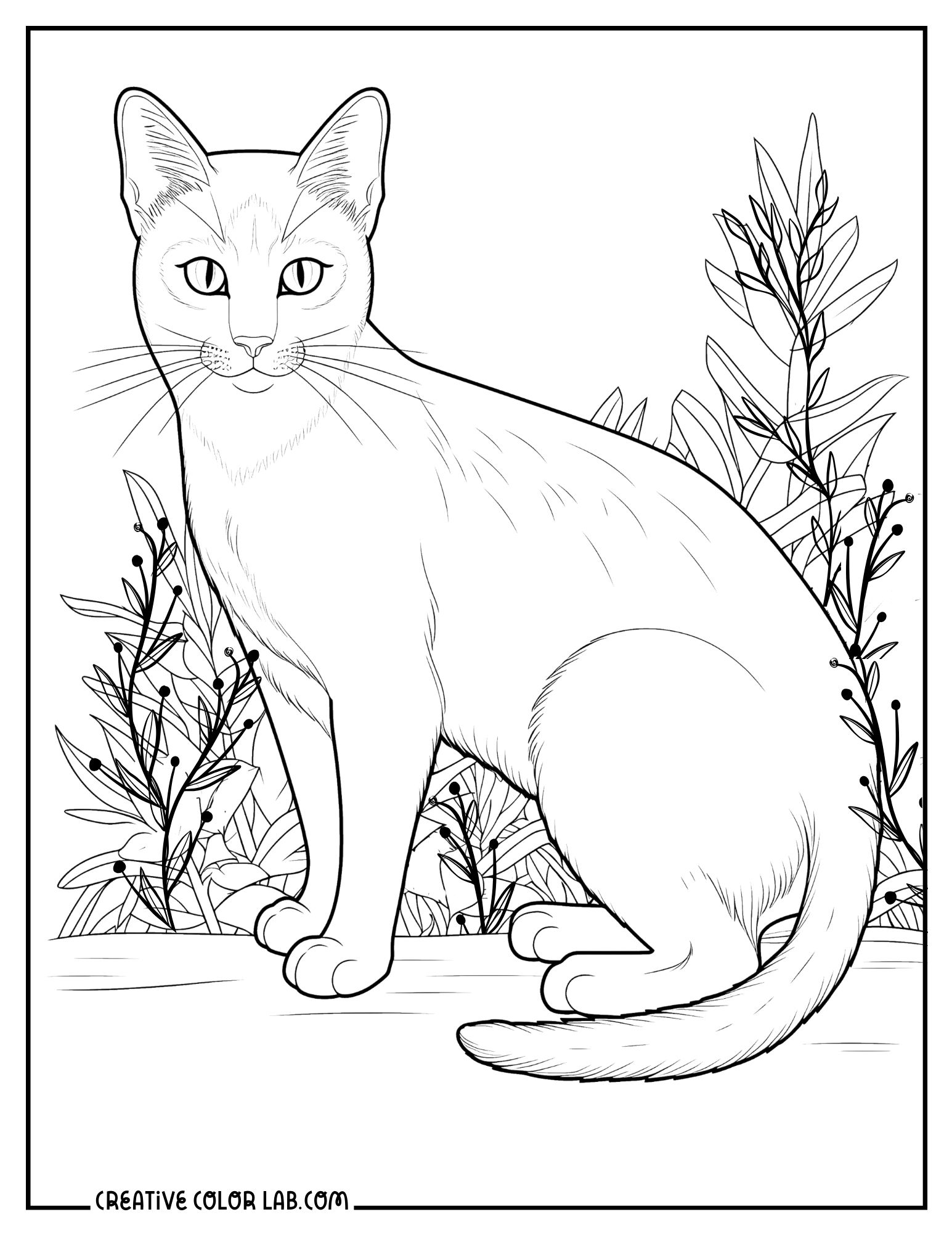 cat free printable coloring pages cat free printable coloring pages