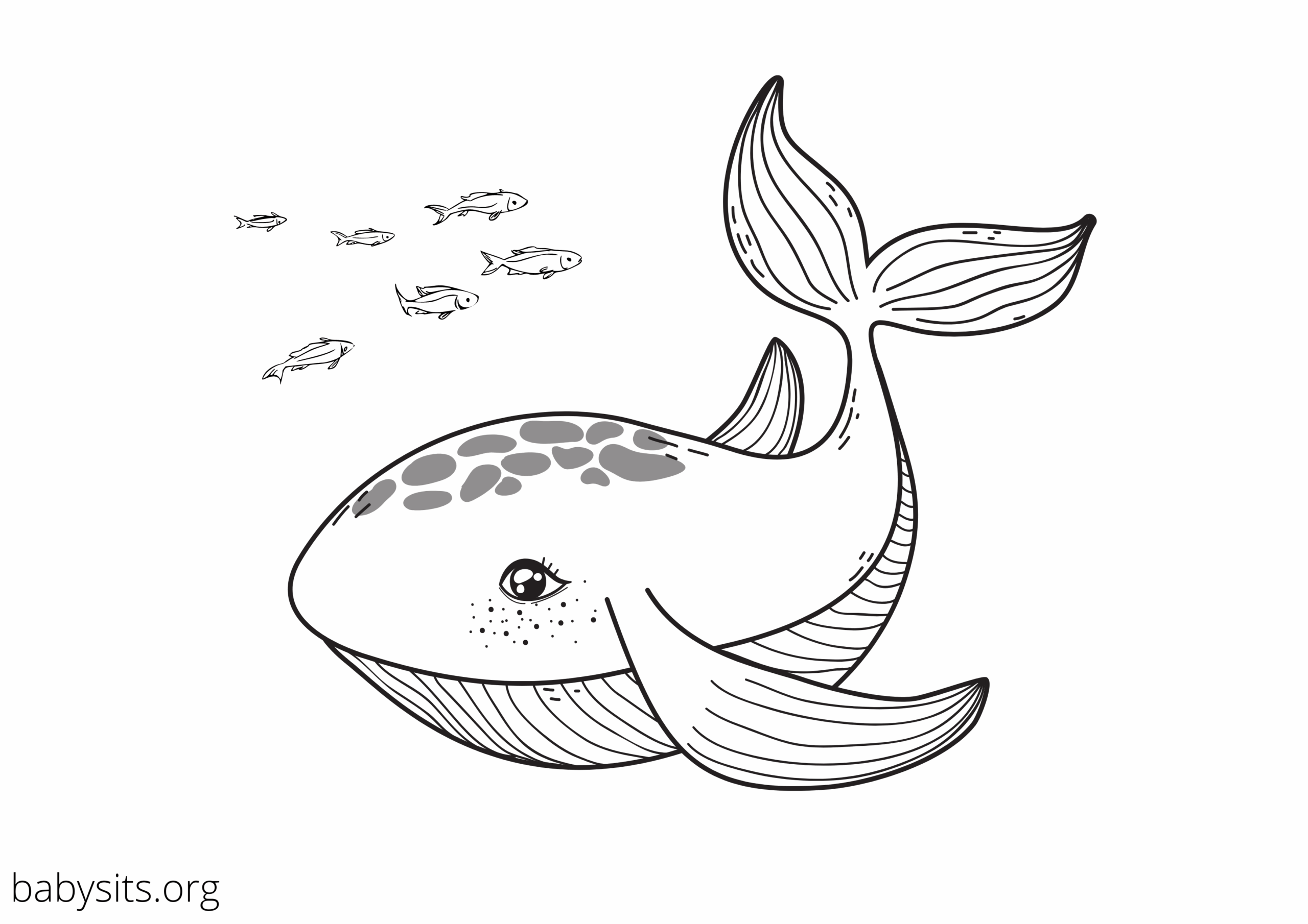ocean animals coloring page ocean animals coloring page