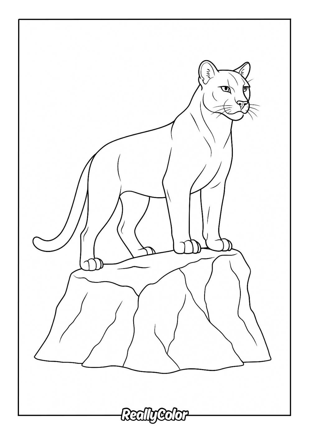 Free Printable Cougar Coloring Pages