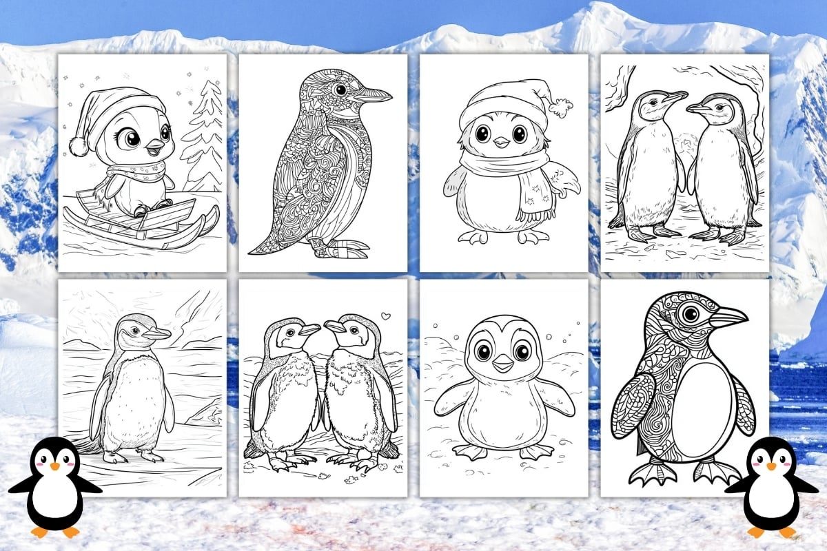 penguin pictures to color penguin pictures to color