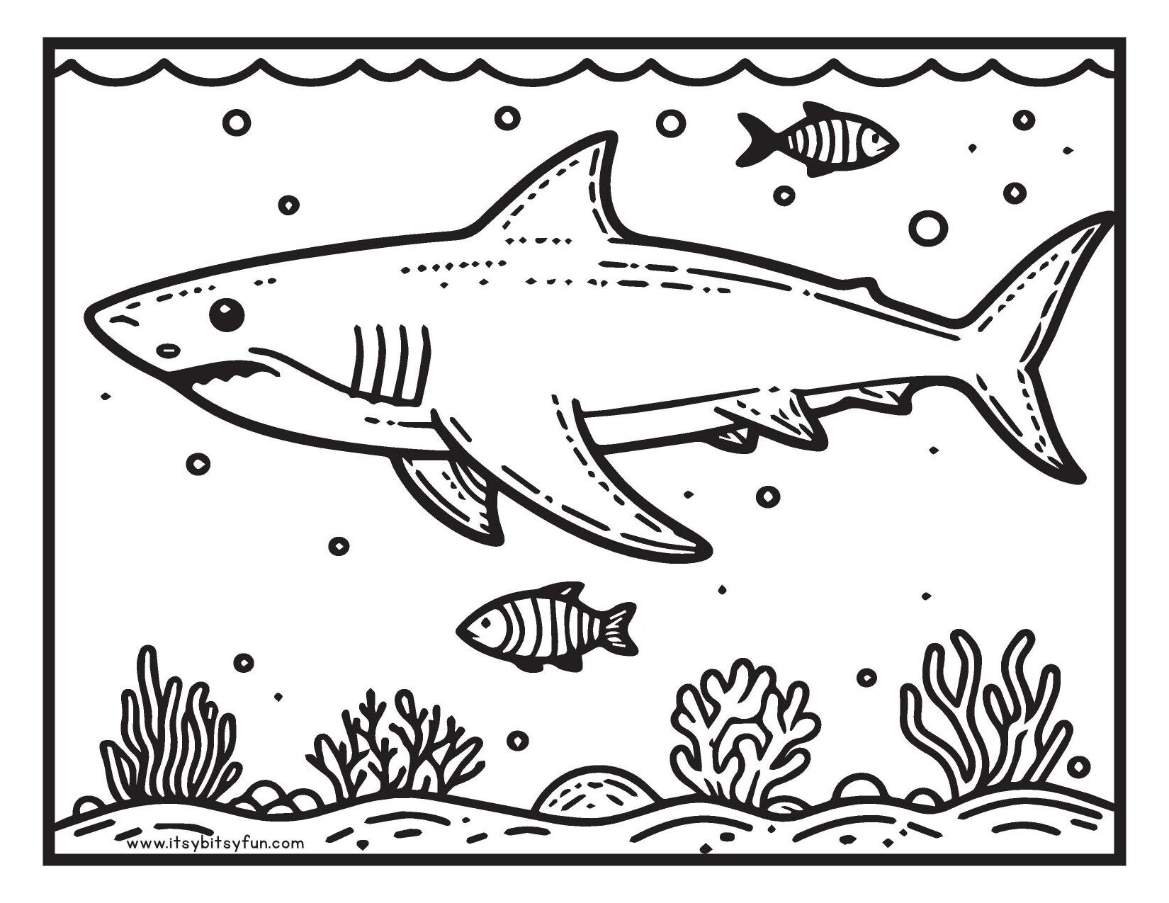 coloring pages sharks printable coloring pages sharks printable