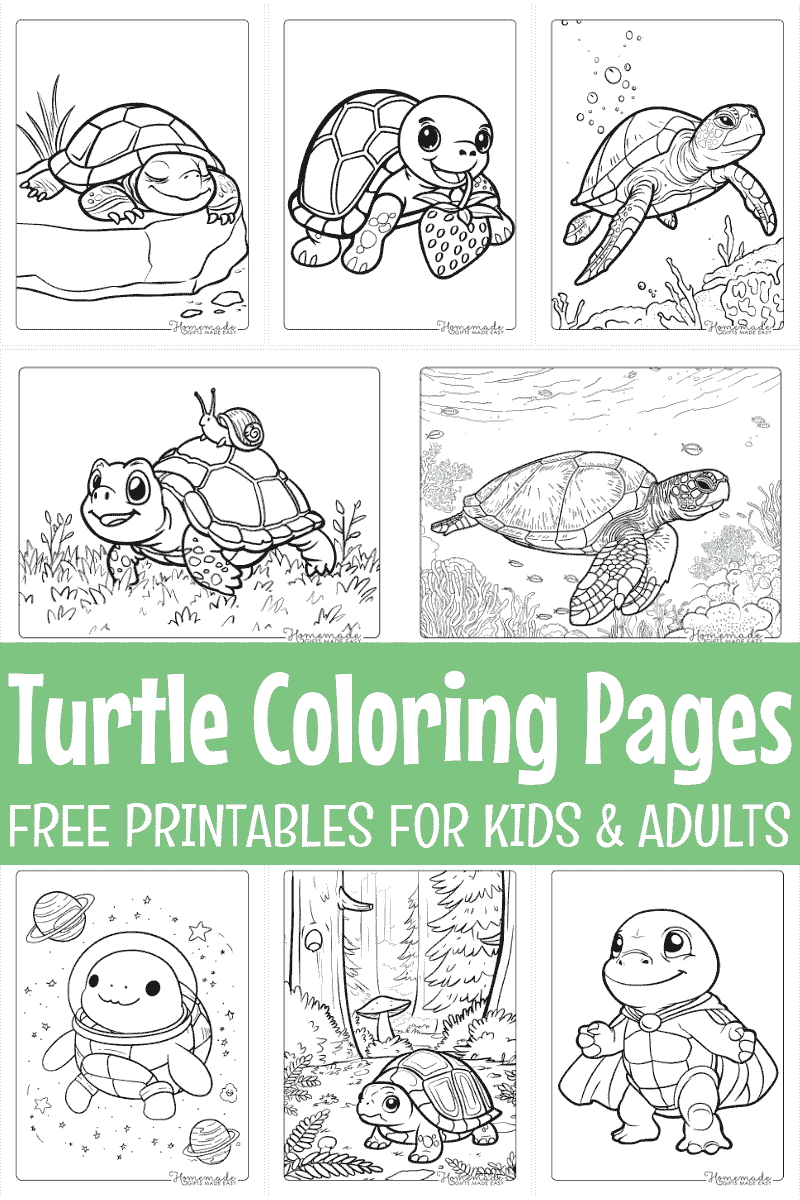 Free Printable Turtle Coloring Pages For Kids And Adults Free Printable Turtle Coloring Pages For Kids And Adults