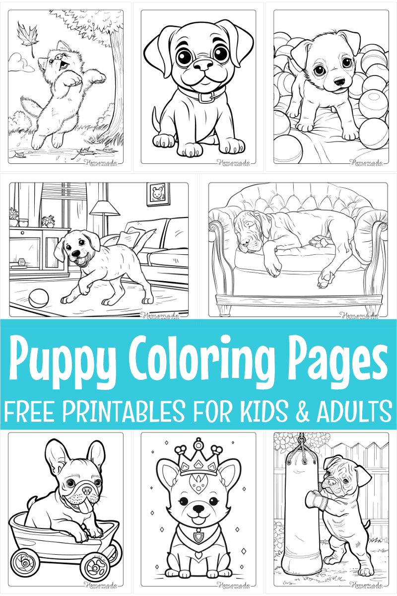 Free Puppy Coloring Pages For Kids Adults PDF Printables  Free Puppy Coloring Pages For Kids Adults PDF Printables