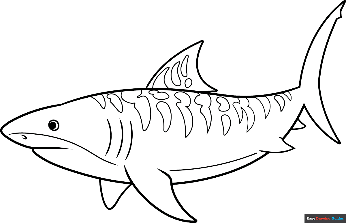 Free Sharks Coloring Pages For Kids 14 Printable Sheets Free Sharks Coloring Pages For Kids 14 Printable Sheets