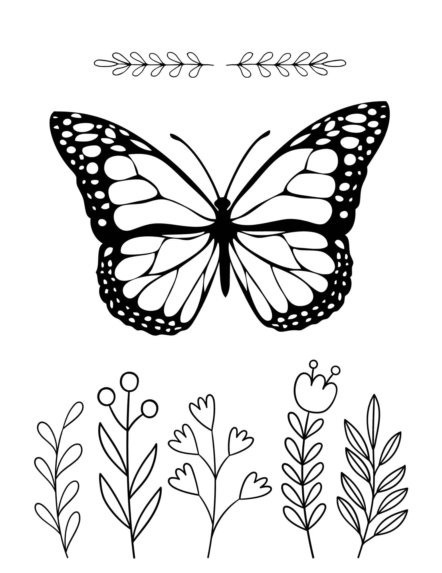butterfly colouring pages free butterfly colouring pages free