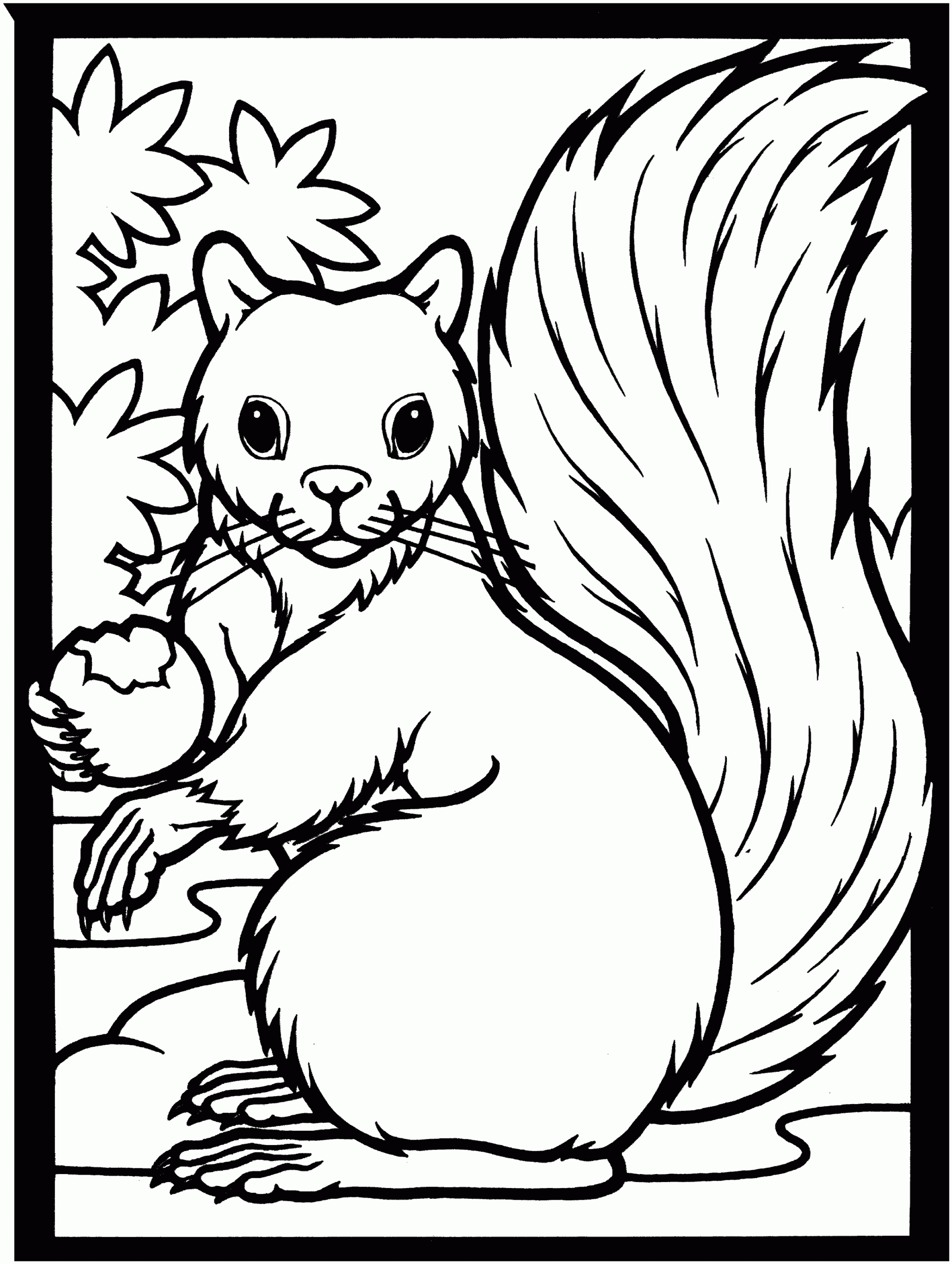 coloring pages of a squirrel coloring pages of a squirrel