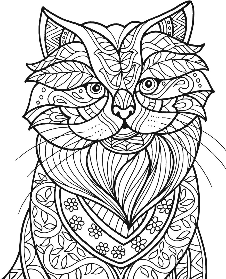 Freebie Friday Cat Adult Coloring Book TY Page Freebie Friday Cat Adult Coloring Book TY Page