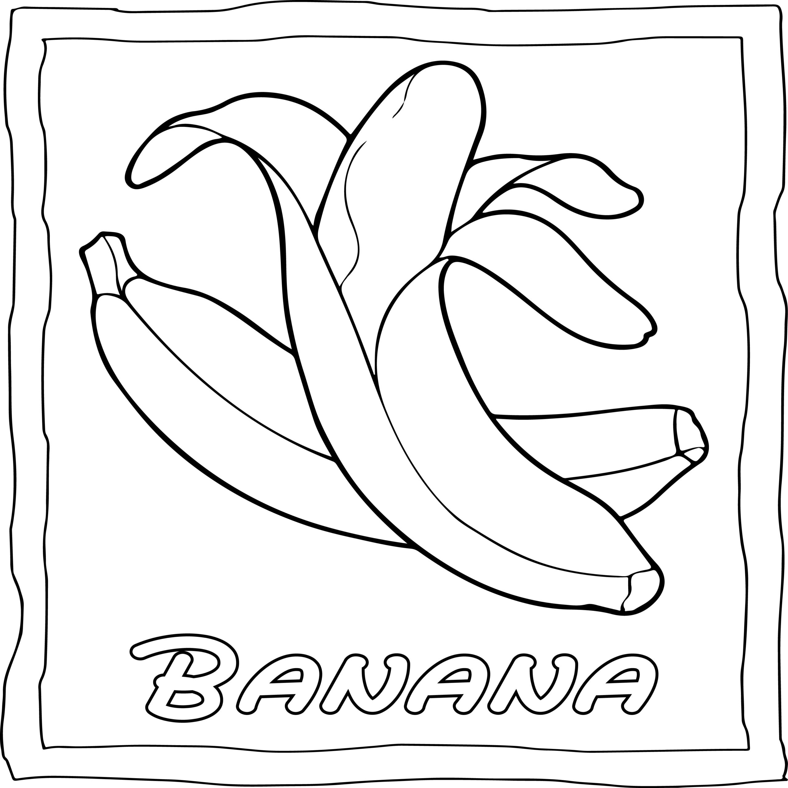 Fruits Coloring Book Easy And Fun Fruits Coloring Pages For Kids Made By Teachers Fruits Coloring Book Easy And Fun Fruits Coloring Pages For Kids Made By Teachers