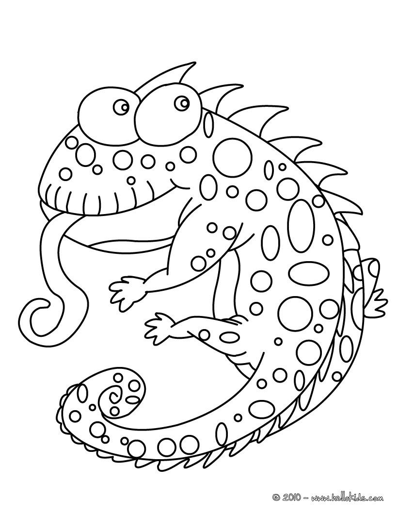 Funny Chameleon Coloring Pages Hellokids Funny Chameleon Coloring Pages Hellokids