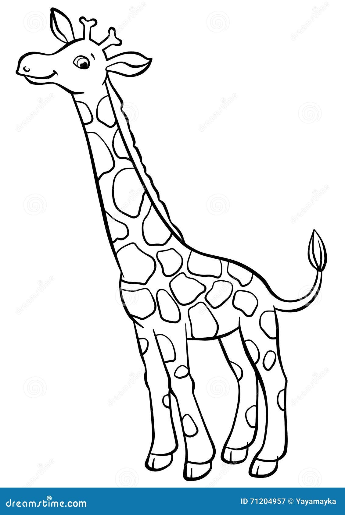 Giraffe Colouring Pages Stock Illustrations 114 Giraffe Colouring Pages Stock Illustrations Vectors Clipart Dreamstime Giraffe Colouring Pages Stock Illustrations 114 Giraffe Colouring Pages Stock Illustrations Vectors Clipart Dreamstime
