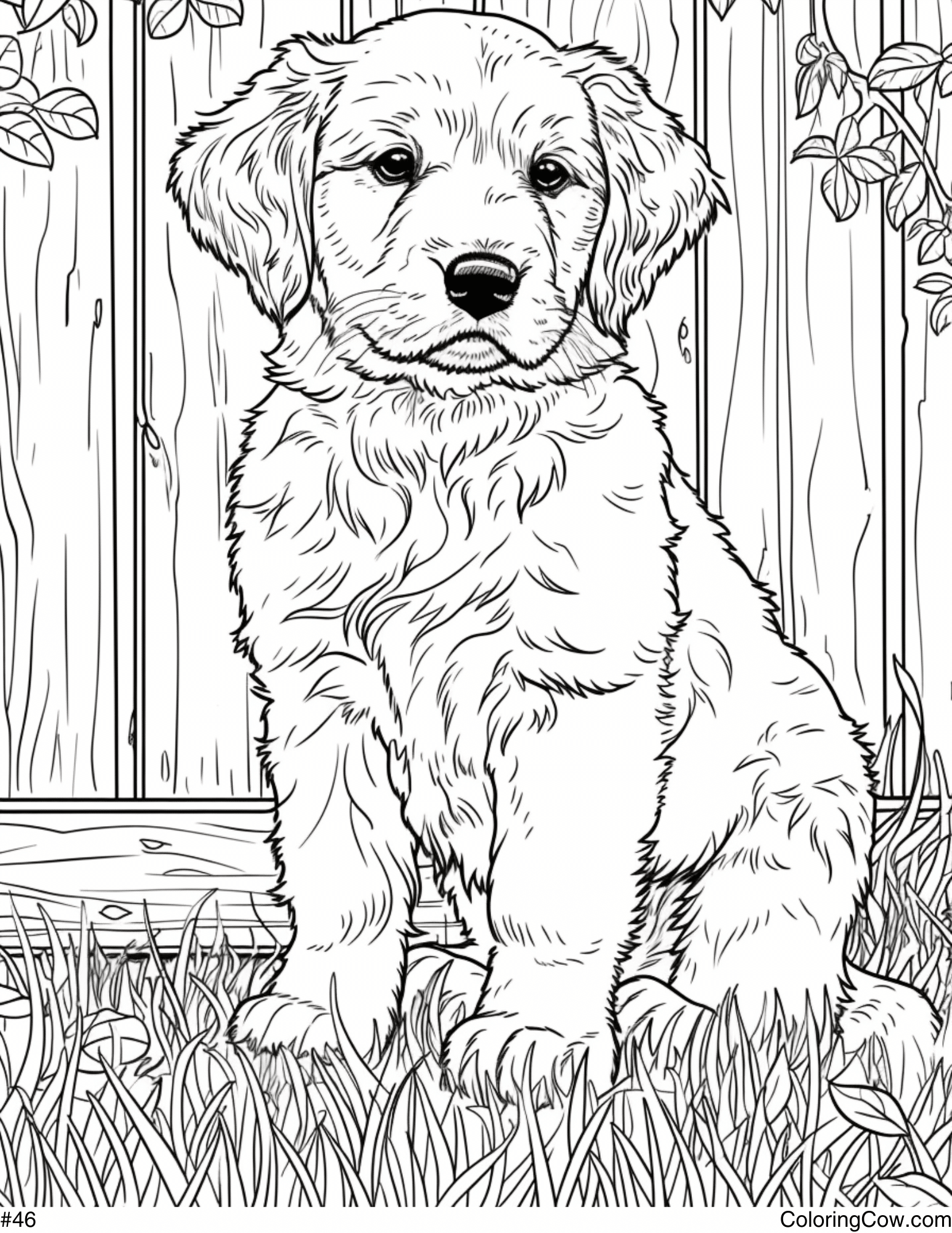 Golden Retriever Puppy Coloring Page Golden Retriever Puppy Coloring Page