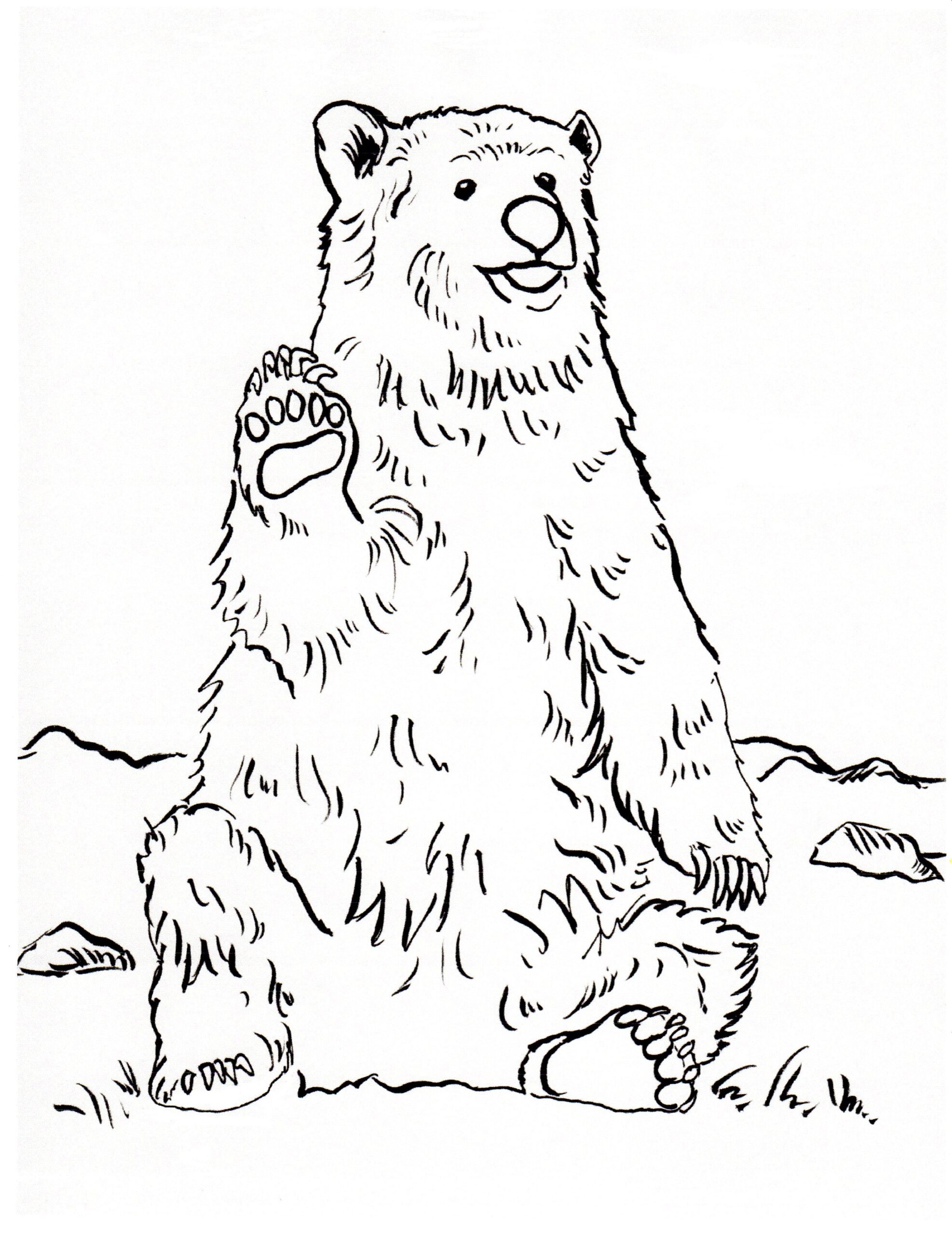 Grizzly Bear Coloring Page 3 Art Starts Grizzly Bear Coloring Page 3 Art Starts