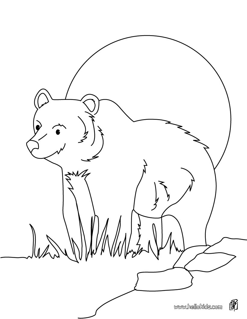 Grizzly Bear Coloring Pages Hellokids Grizzly Bear Coloring Pages Hellokids