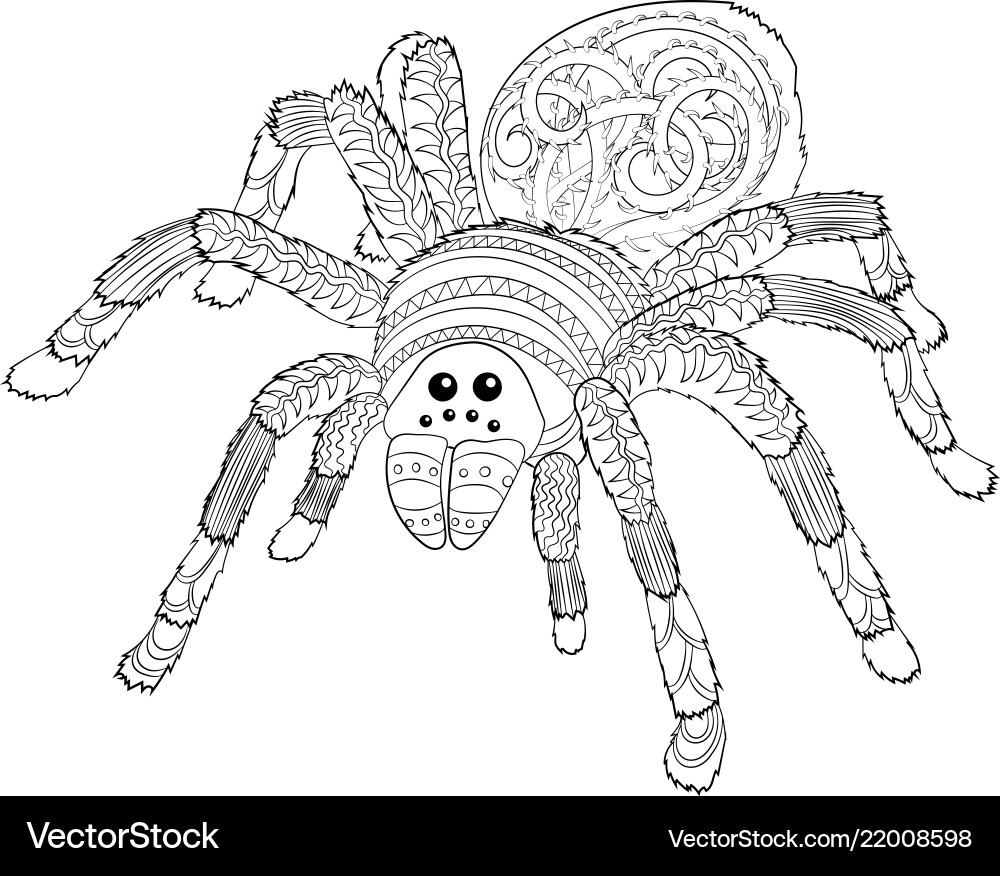 Halloween Spider Coloring Page Royalty Free Vector Image Halloween Spider Coloring Page Royalty Free Vector Image