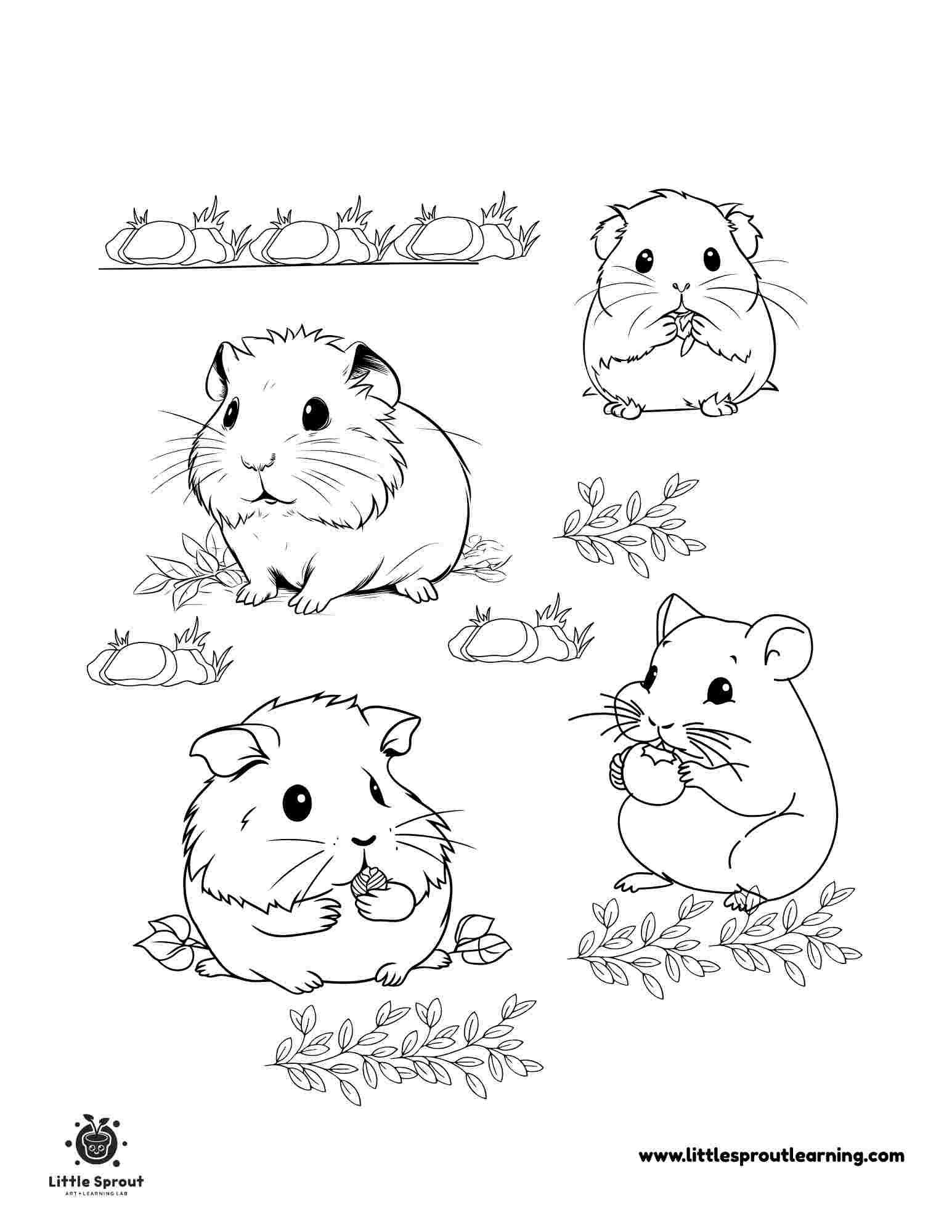 Hamster Coloring Pages Little Sprout Art Learning Lab Hamster Coloring Pages Little Sprout Art Learning Lab