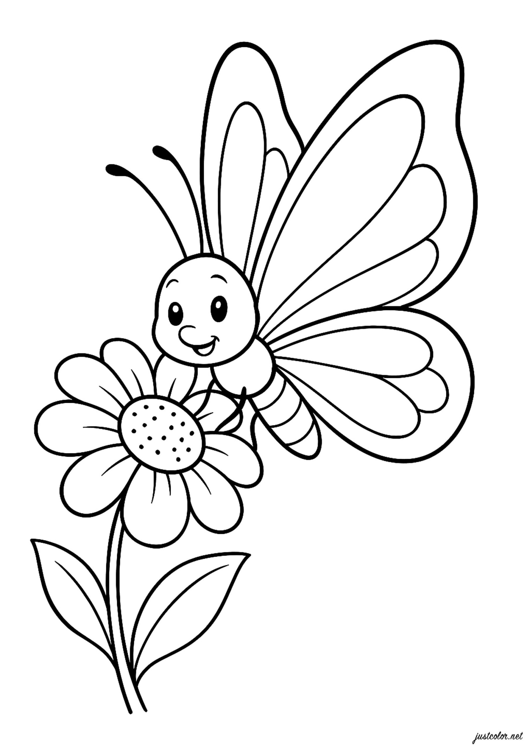 butterfly coloring pictures to print butterfly coloring pictures to print