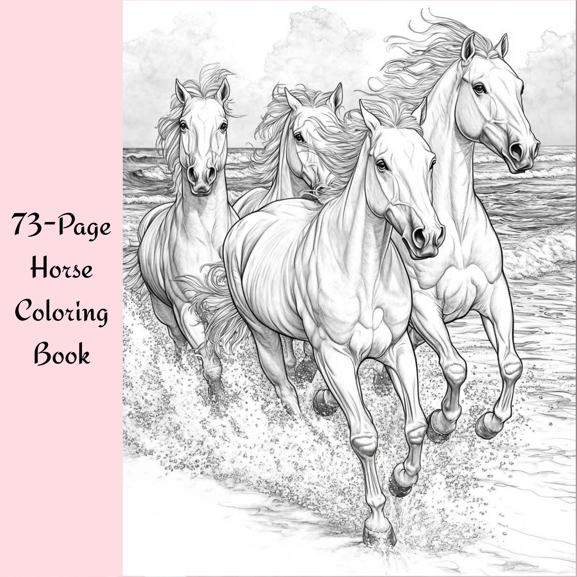 Horse Coloring Book For Adults Countryside Scenes PDF 73 Pages digital Download Etsy
