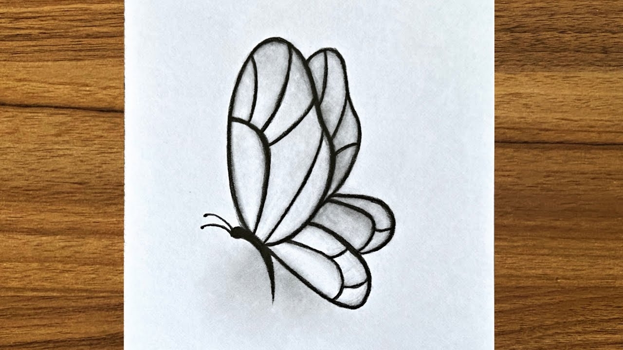 How To Draw A Cute Butterfly Easy Drawing Ideas For Beginners Easy Drawings Step By Step YouTube How To Draw A Cute Butterfly Easy Drawing Ideas For Beginners Easy Drawings Step By Step YouTube
