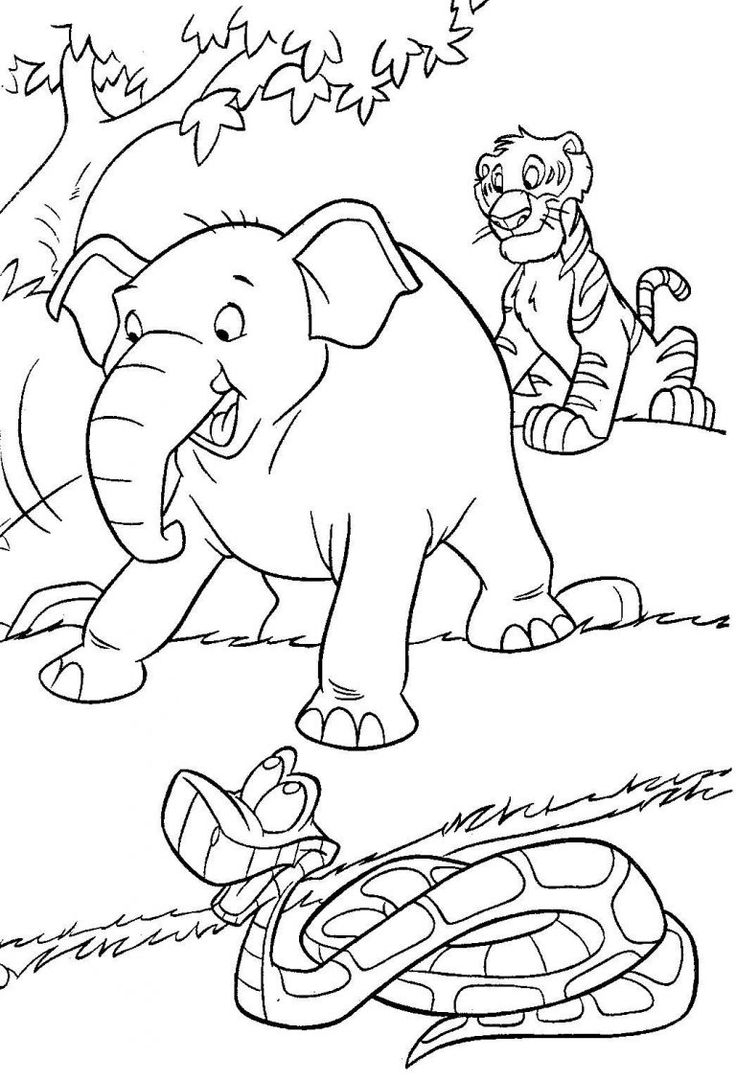 Jungle Coloring Pages Best Coloring Pages For Kids Jungle Coloring Pages Best Coloring Pages For Kids