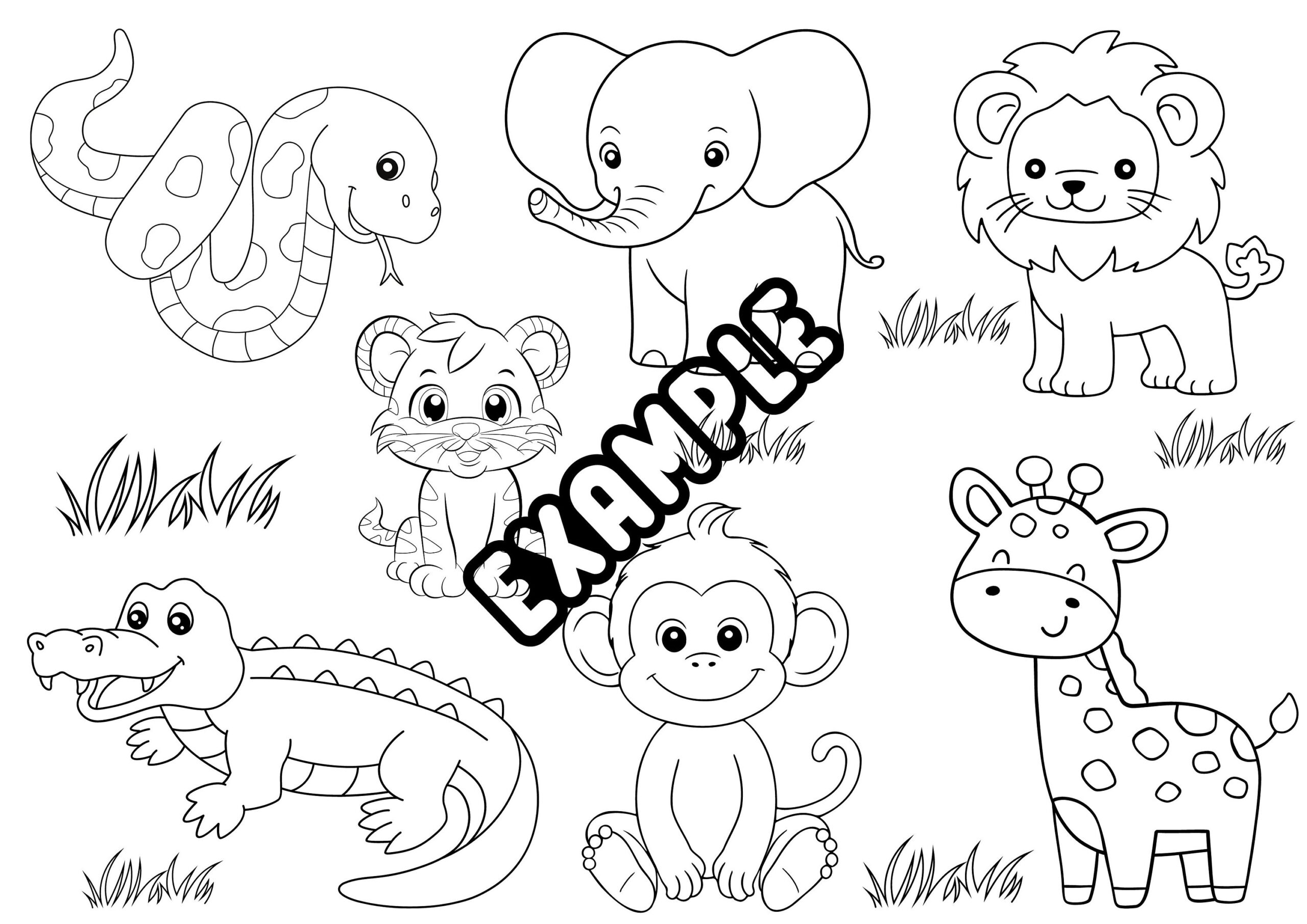 Jungle Zoo Coloring Page Preschool Pre k Coloring Activity Digital Download Jungle Animals Printable File Preschool Activity Etsy
