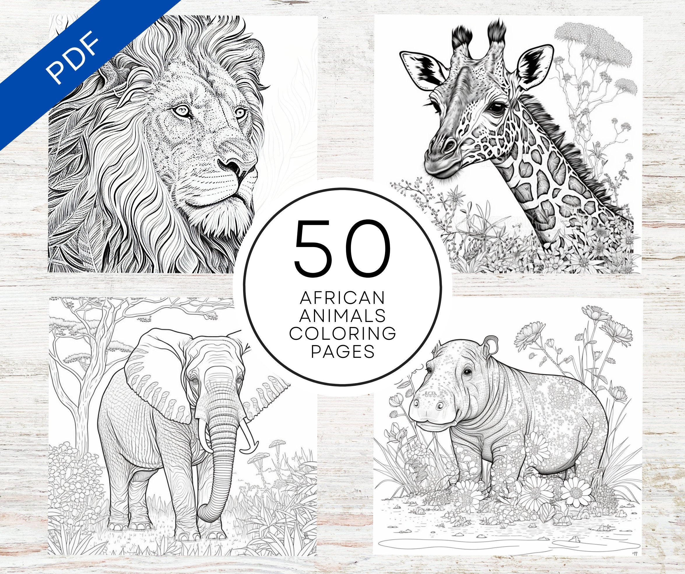 KDP Interior 50 African Animals Coloring Pages 8 5 X 11 Printable PDF Canva Template Realistic Africa Willdlife Coloring Book Etsy KDP Interior 50 African Animals Coloring Pages 8 5 X 11 Printable PDF Canva Template Realistic Africa Willdlife Coloring Book Etsy