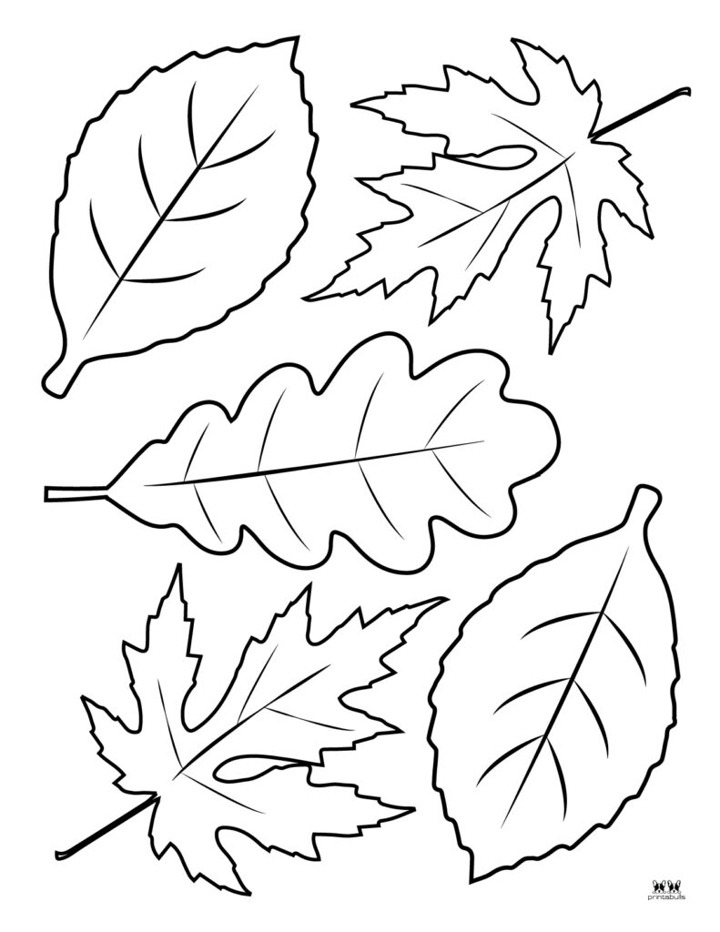 Leaf Outlines Templates Coloring Pages 55 FREE Pages Printabulls Leaf Outlines Templates Coloring Pages 55 FREE Pages Printabulls