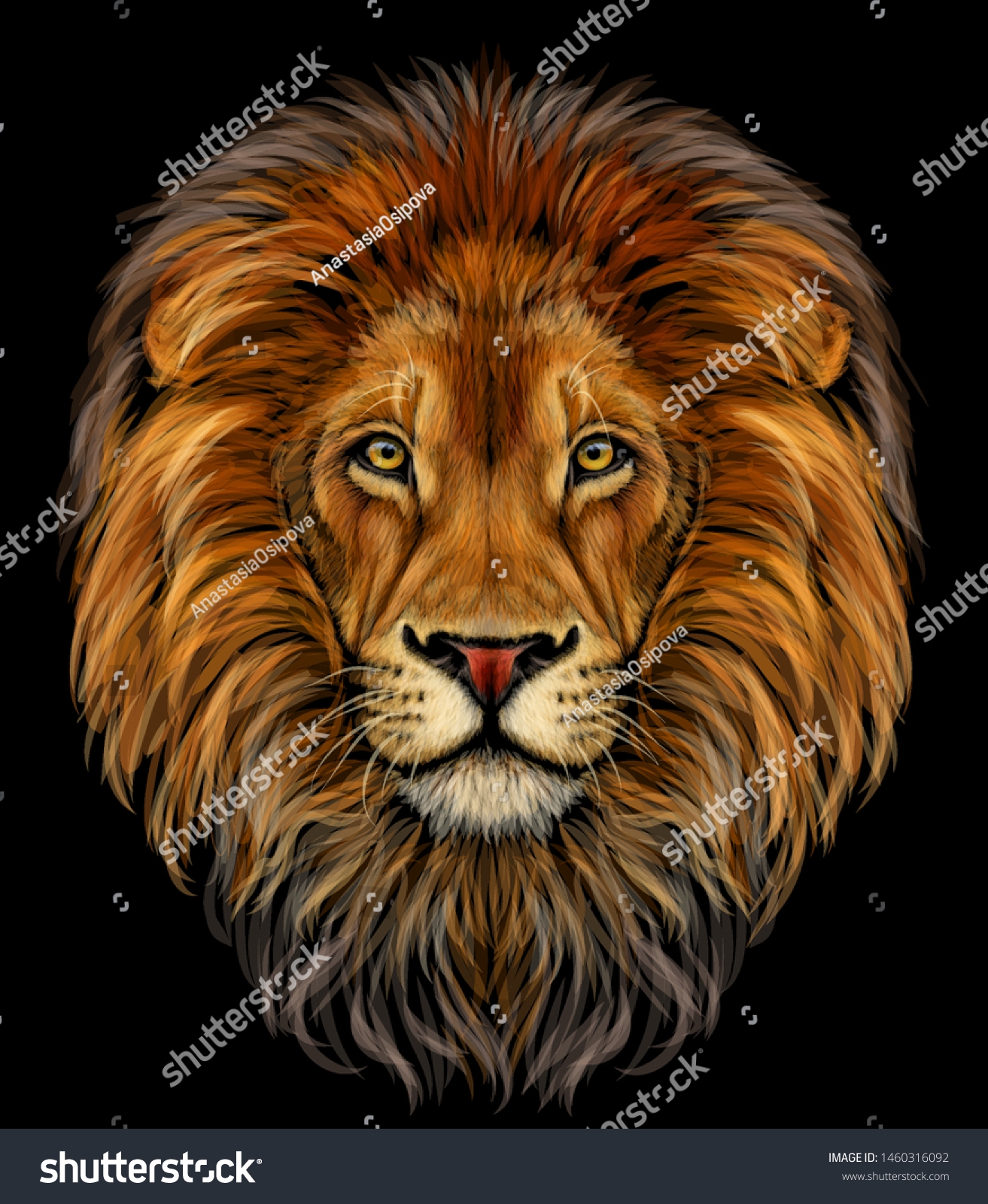 what are the colors of a lion what are the colors of a lion