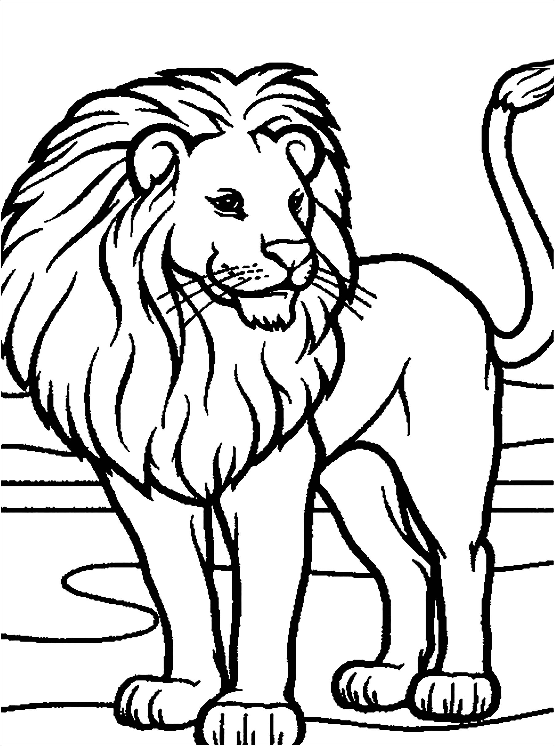Lion Lion Coloring Pages Lion Lion Coloring Pages