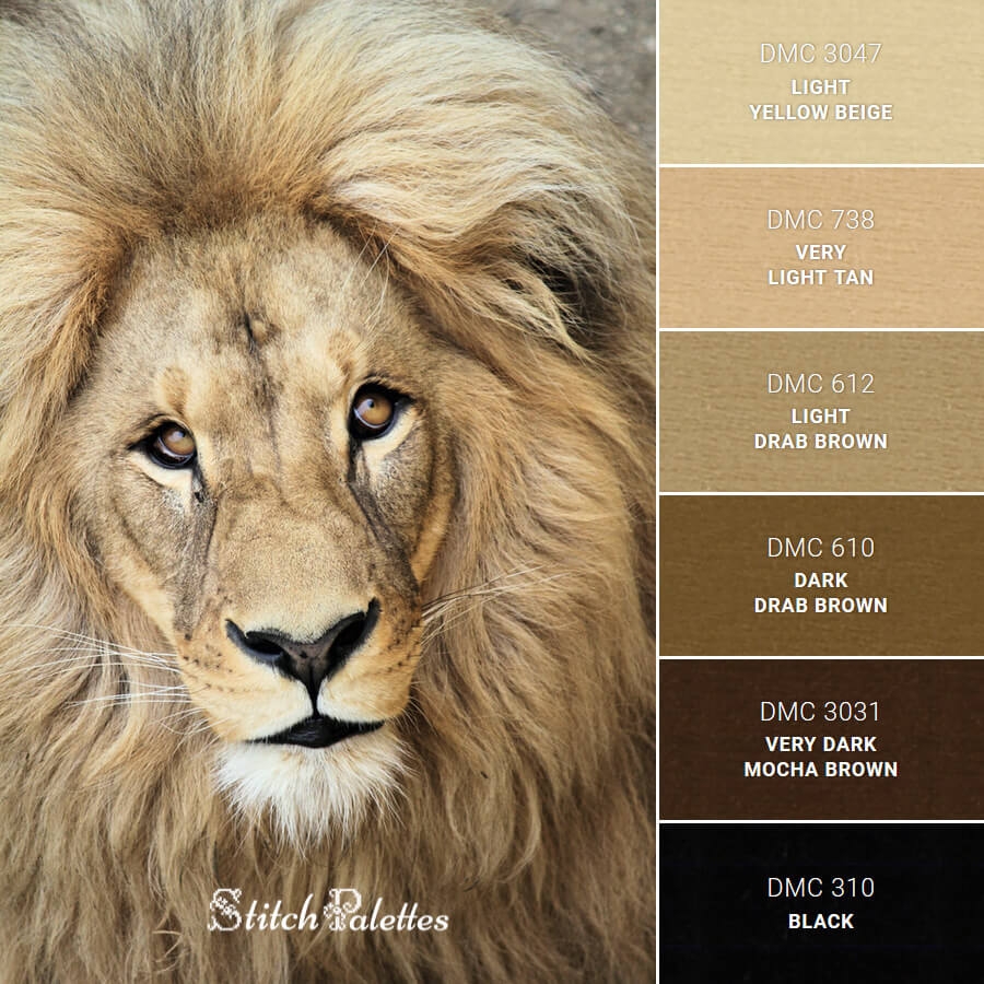 Lion s Face Embroidery Color Palette With Thread Codes