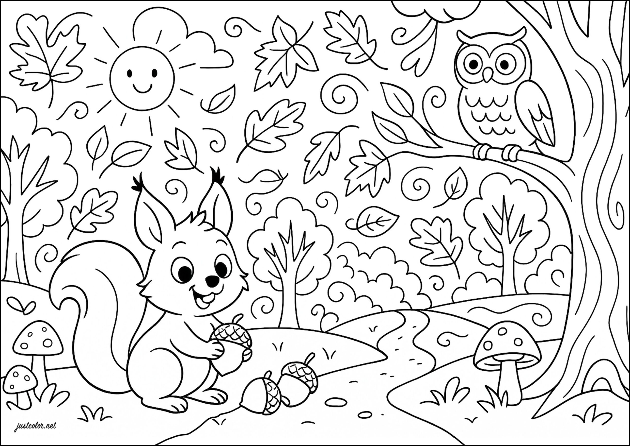 Little Squirrel And His Owl Friend Squirrel Coloring Pages Little Squirrel And His Owl Friend Squirrel Coloring Pages