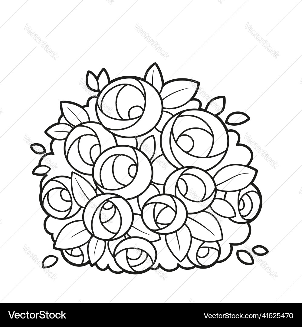 Lush Rose Bush Coloring Book Linear Drawing Vector Image Lush Rose Bush Coloring Book Linear Drawing Vector Image