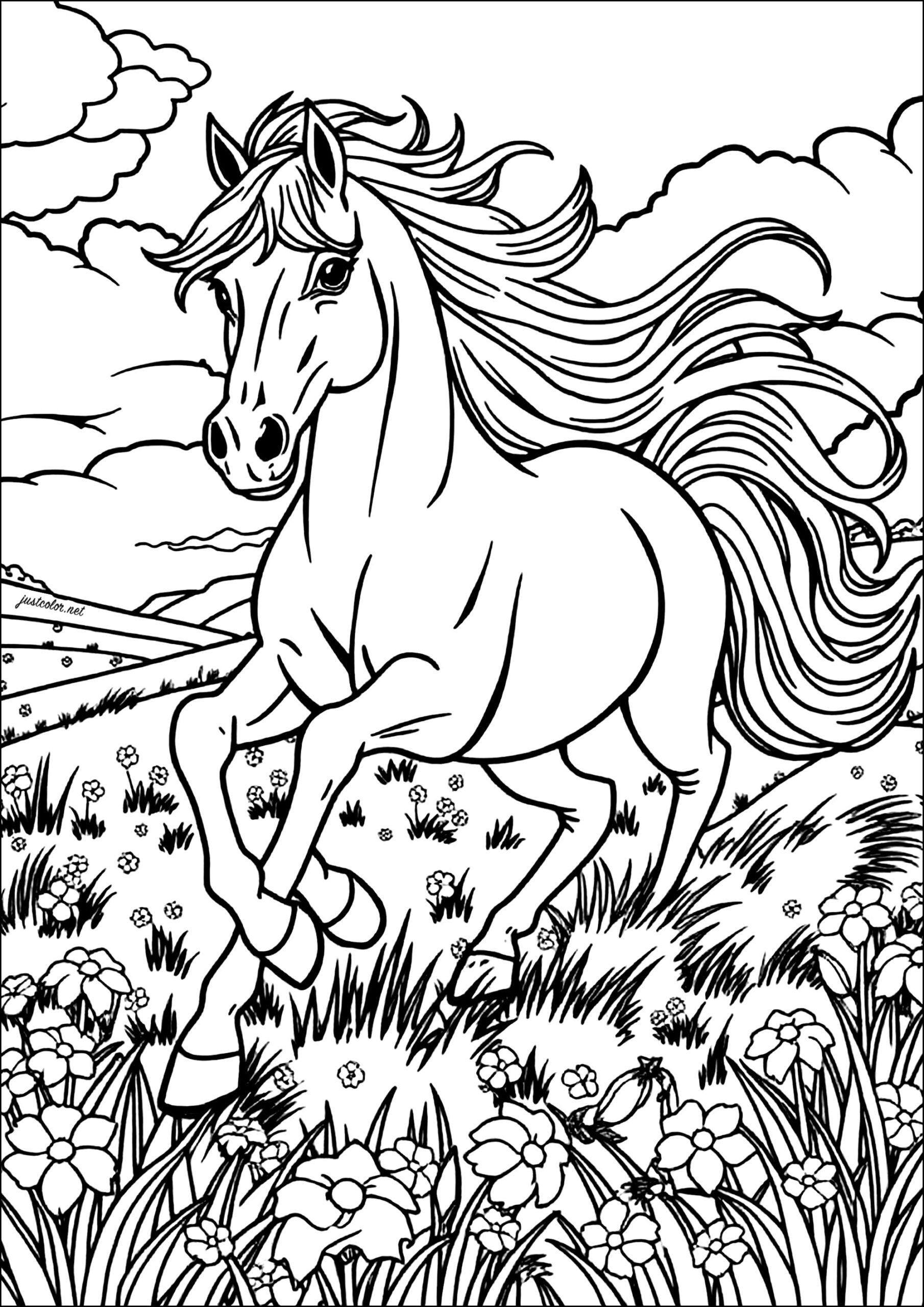 Majestic Horse Among Flowers Horse Coloring Pages Majestic Horse Among Flowers Horse Coloring Pages