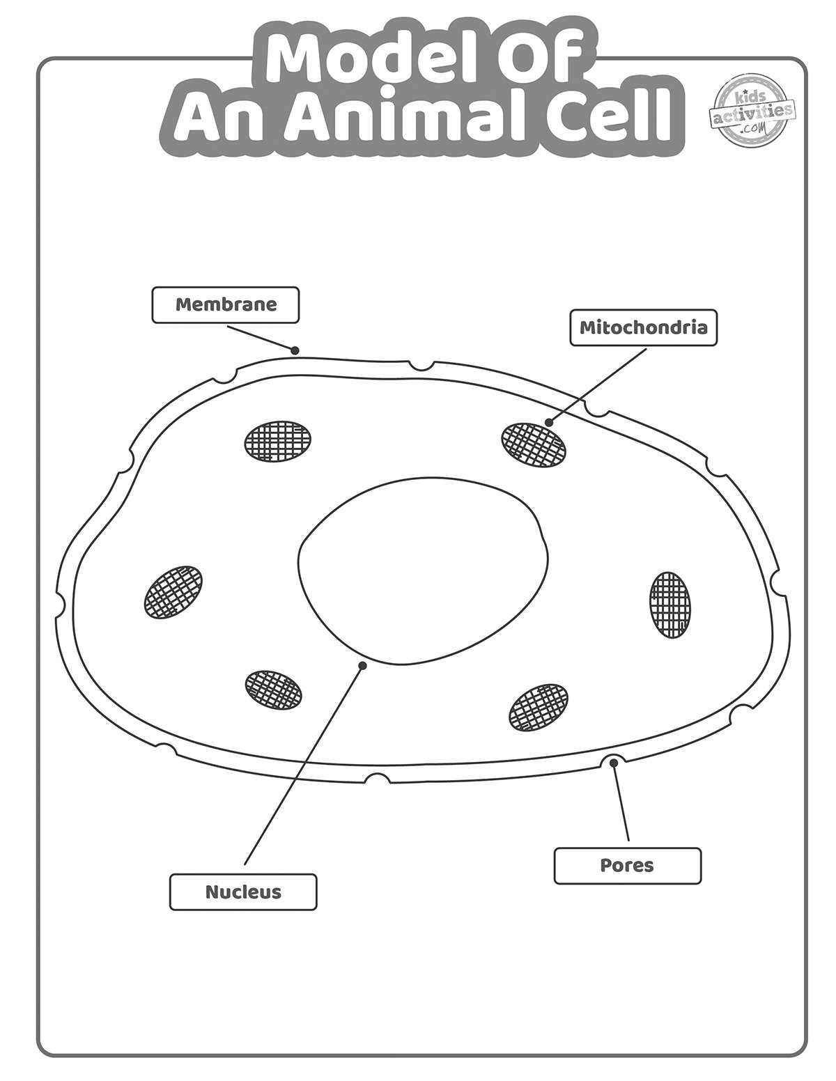 Model Of An Animal Cell Coloring Pages Kids Activities Blog Model Of An Animal Cell Coloring Pages Kids Activities Blog