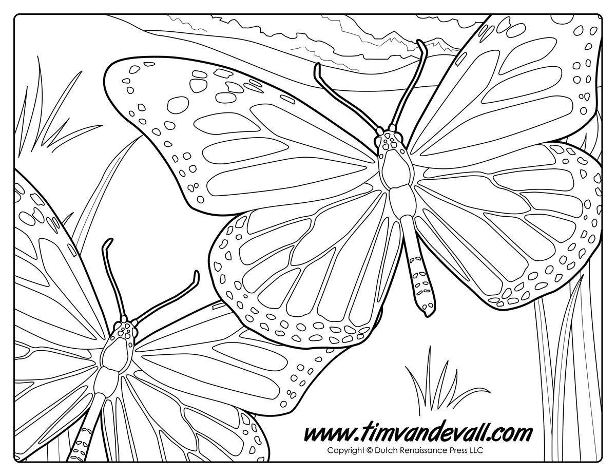 Monarch Butterfly Coloring Page Tim s Printables