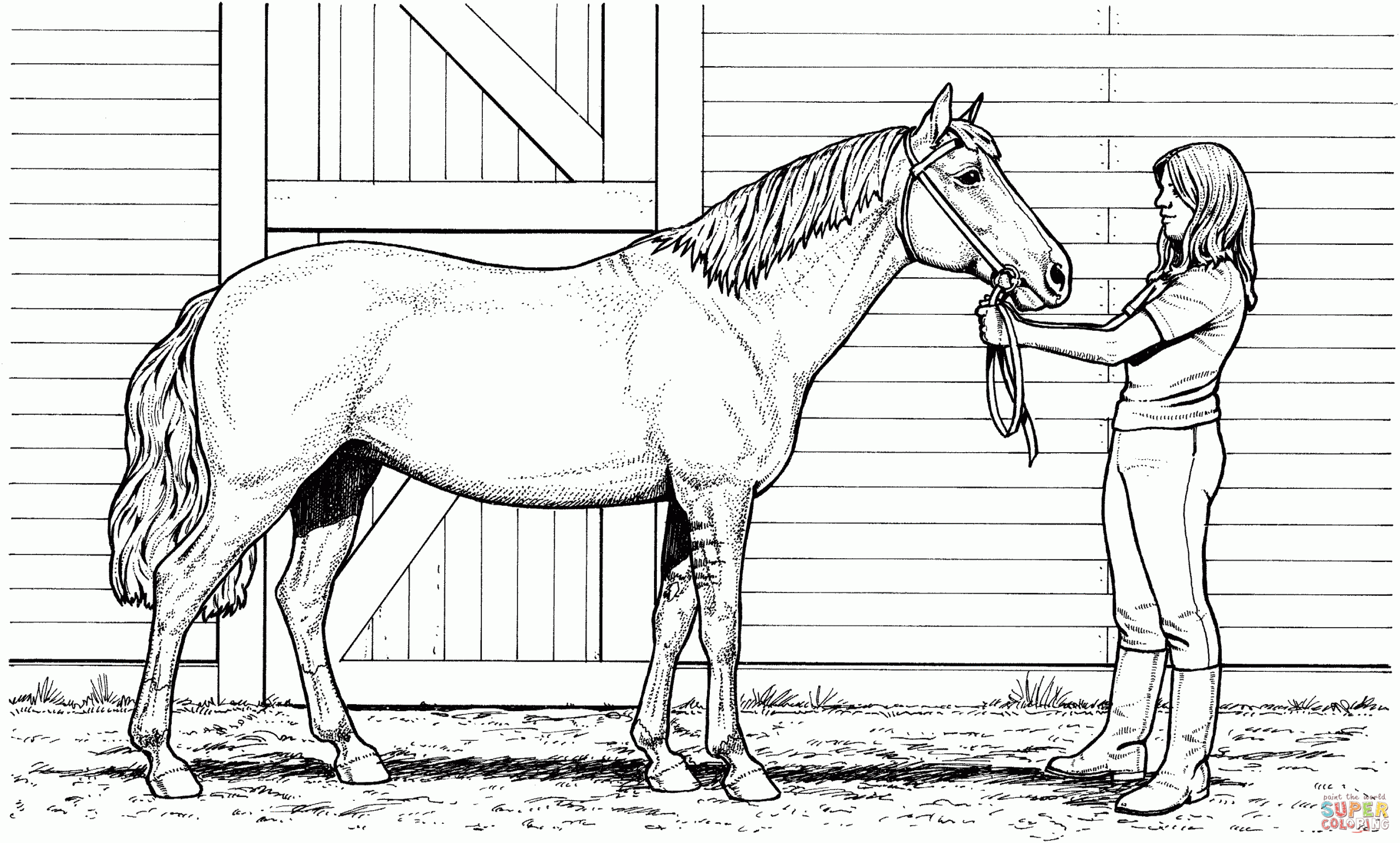 printable coloring pages horses