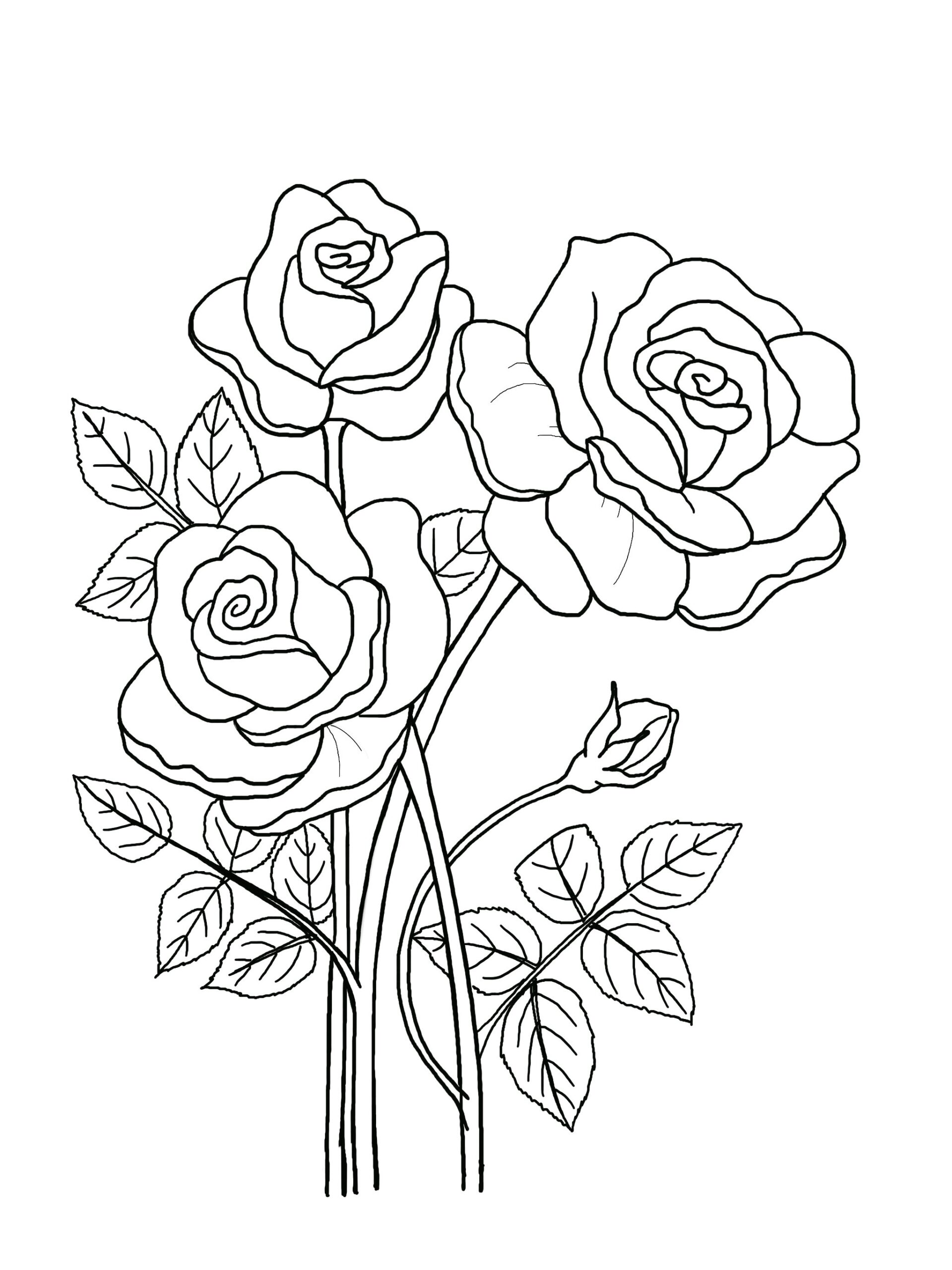 Printable Floral Coloring Sheets Coloring Pages Adult Coloring Pages Kids Coloring Pages Coloring Flowers Etsy Printable Floral Coloring Sheets Coloring Pages Adult Coloring Pages Kids Coloring Pages Coloring Flowers Etsy