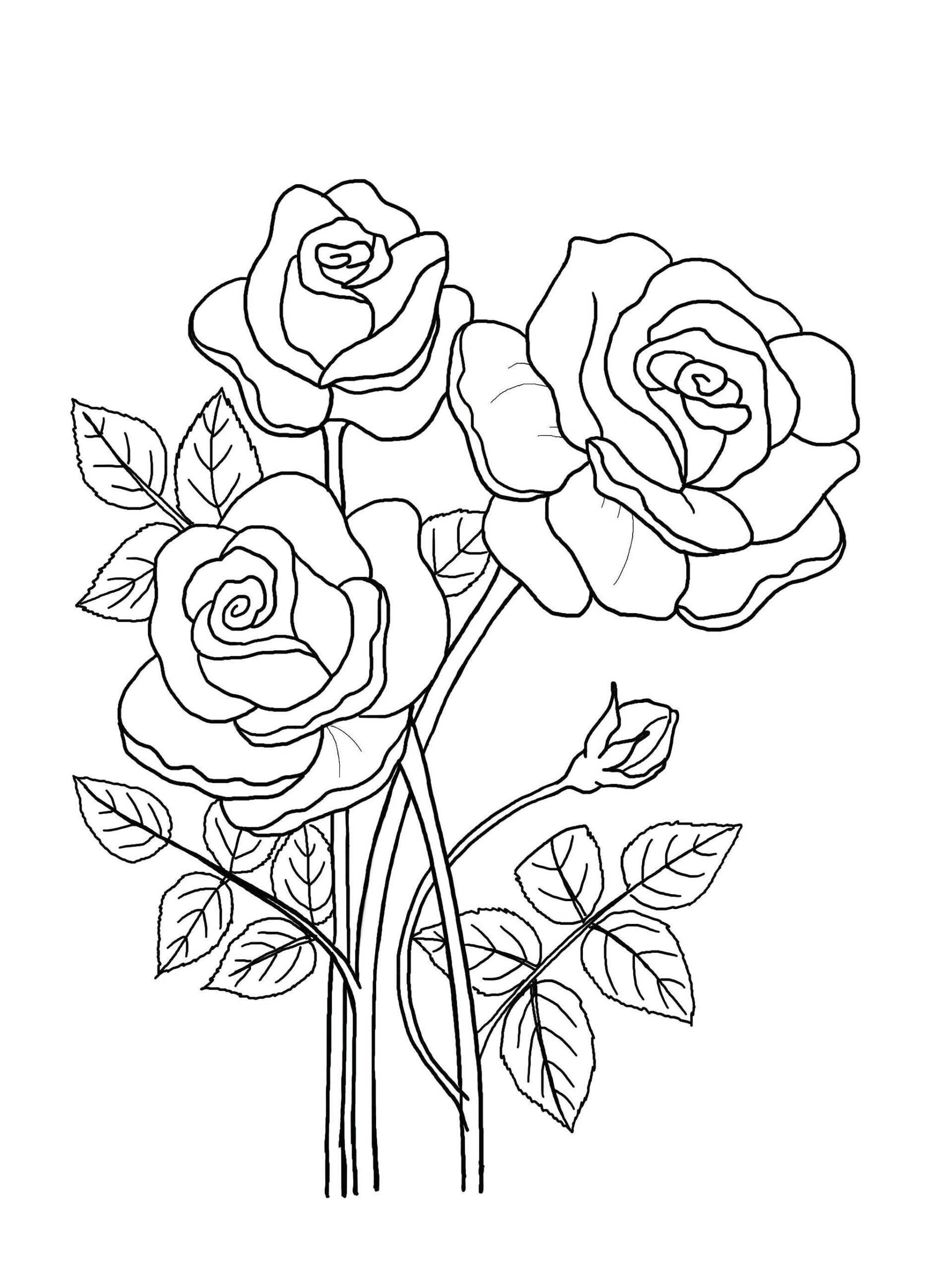 Printable Floral Coloring Sheets Coloring Pages Adult Coloring Pages Kids Coloring Pages Coloring Flowers Etsy Sweden Printable Floral Coloring Sheets Coloring Pages Adult Coloring Pages Kids Coloring Pages Coloring Flowers Etsy Sweden