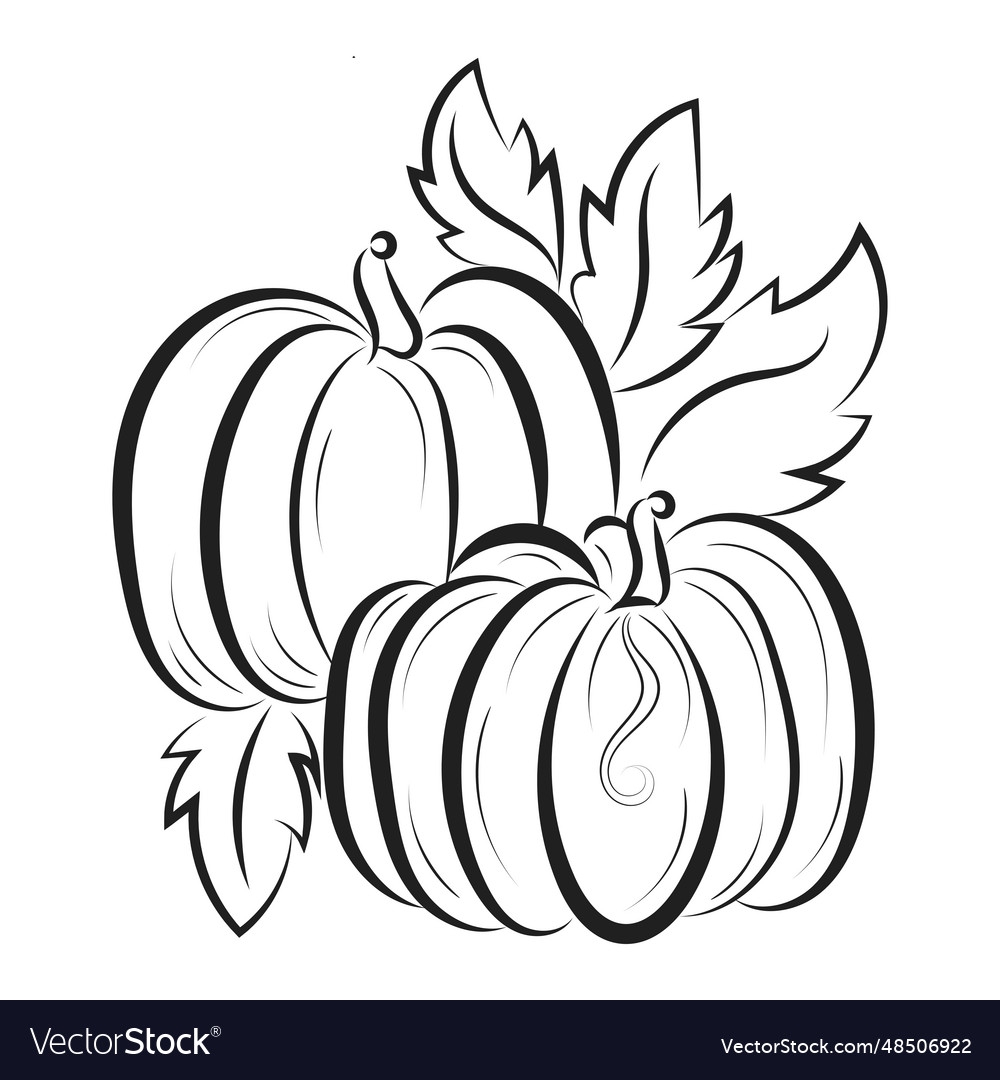 printable pumpkin coloring pages printable pumpkin coloring pages