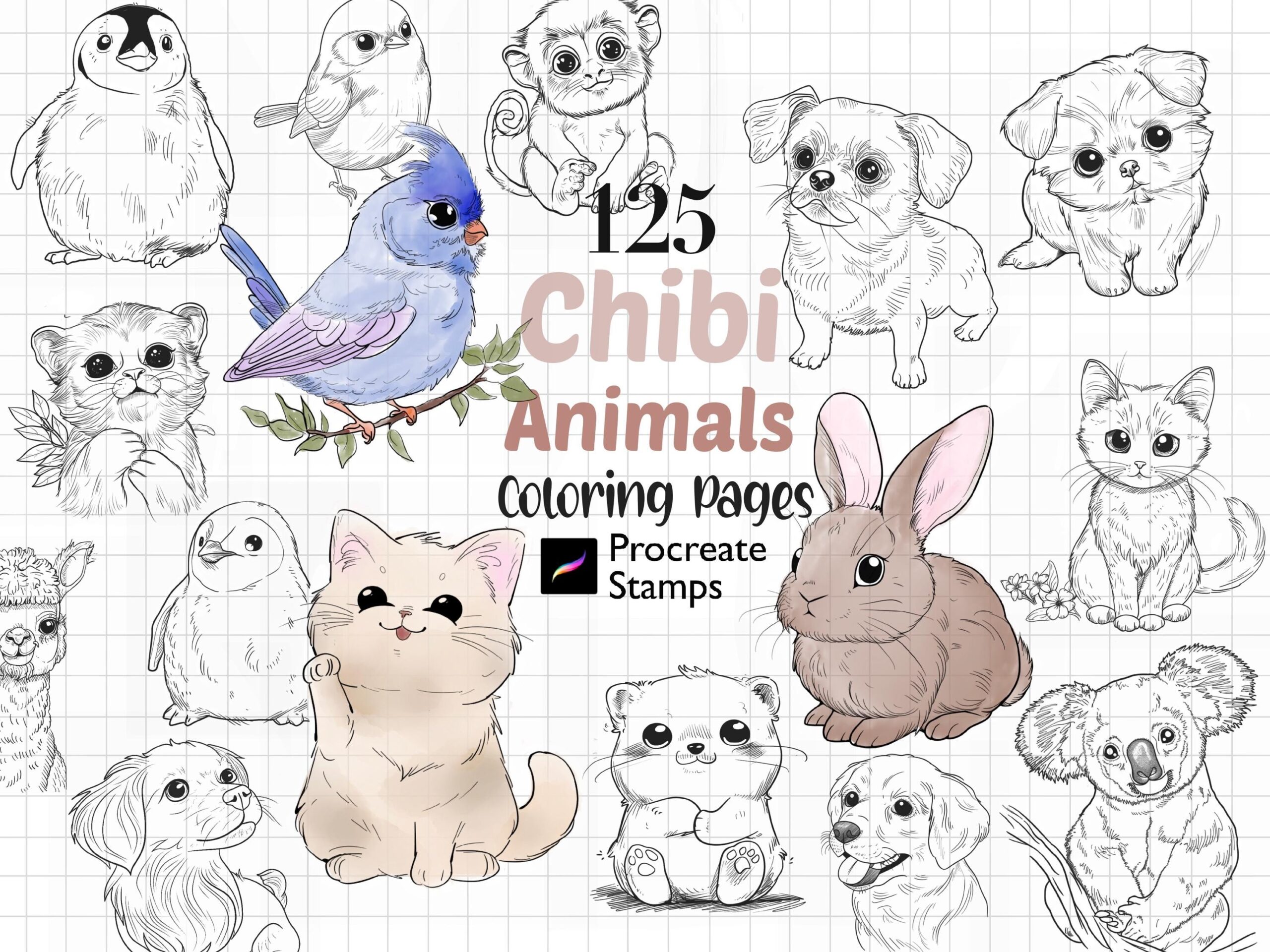 Procreate Chibi Animal Stamp Procreate Chibi Animal Coloring Pages Procreate Cute Chibi Animal Poses Procreate Comics Kids Coloring Book Etsy Procreate Chibi Animal Stamp Procreate Chibi Animal Coloring Pages Procreate Cute Chibi Animal Poses Procreate Comics Kids Coloring Book Etsy