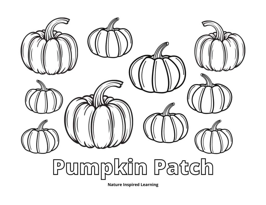 Pumpkin Coloring Pages Nature Inspired Learning Pumpkin Coloring Pages Nature Inspired Learning