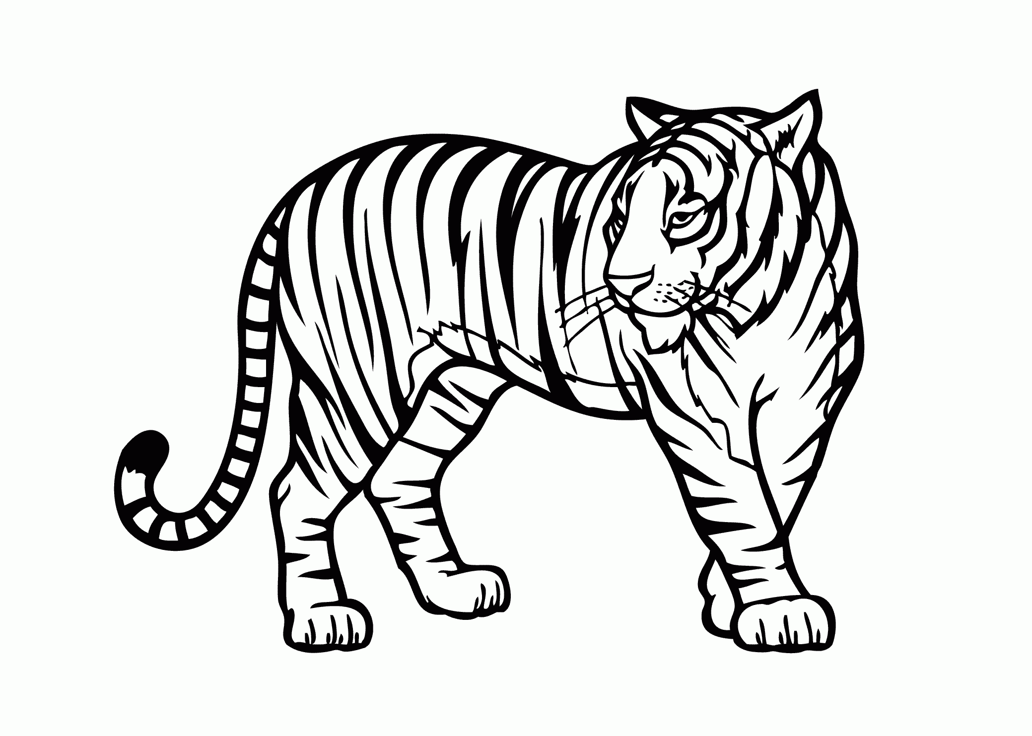 Rainforest Animals Colouring Pages Clip Art Library Worksheets Library Rainforest Animals Colouring Pages Clip Art Library Worksheets Library