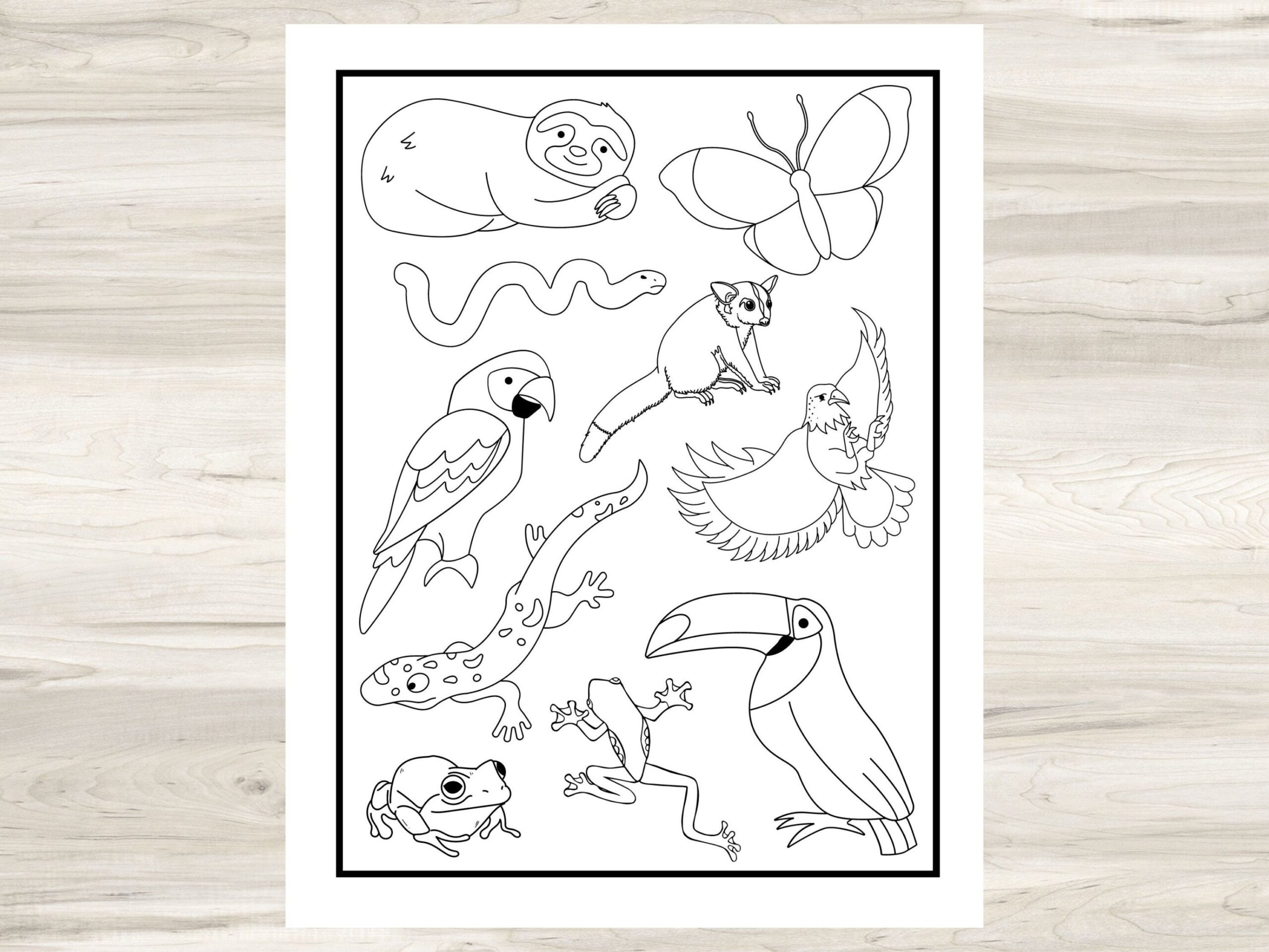 Rainforest Animals Printable Coloring Page For Kids 8 5 X 11 Coloring Activity Sheet Print At Home Activity For Classroom Or Homeschool Etsy Rainforest Animals Printable Coloring Page For Kids 8 5 X 11 Coloring Activity Sheet Print At Home Activity For Classroom Or Homeschool Etsy
